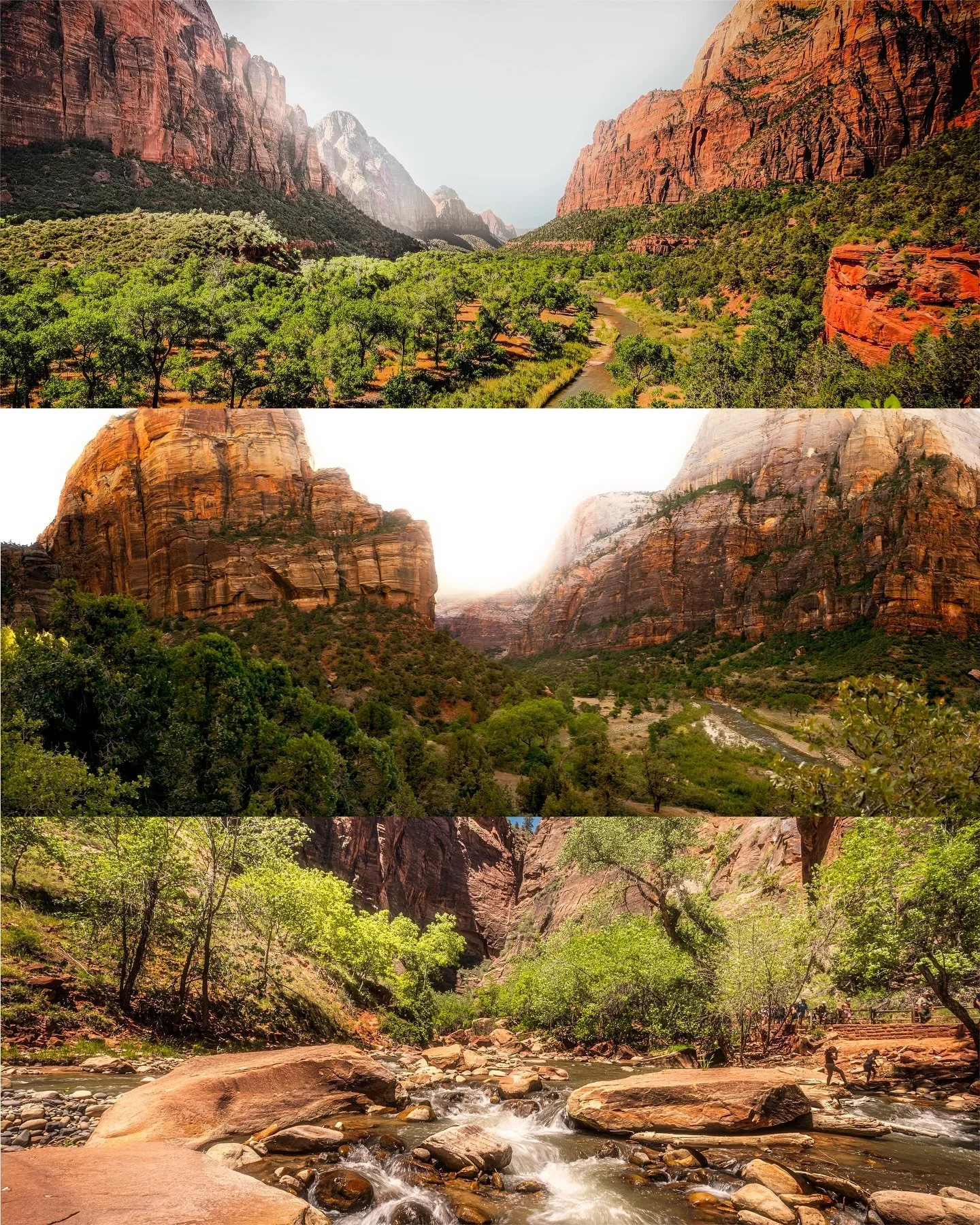 ZION IS ABSOLUTELY SURREAL! 🗻🌄🏔️
.
.
We woke up at 5am to start hiking to Scouts outlook near Angels Landing. It was one of the more strenuous hikes in the Zion national Park and we didn&rsquo;t even know when we started, but we ended up at the to
