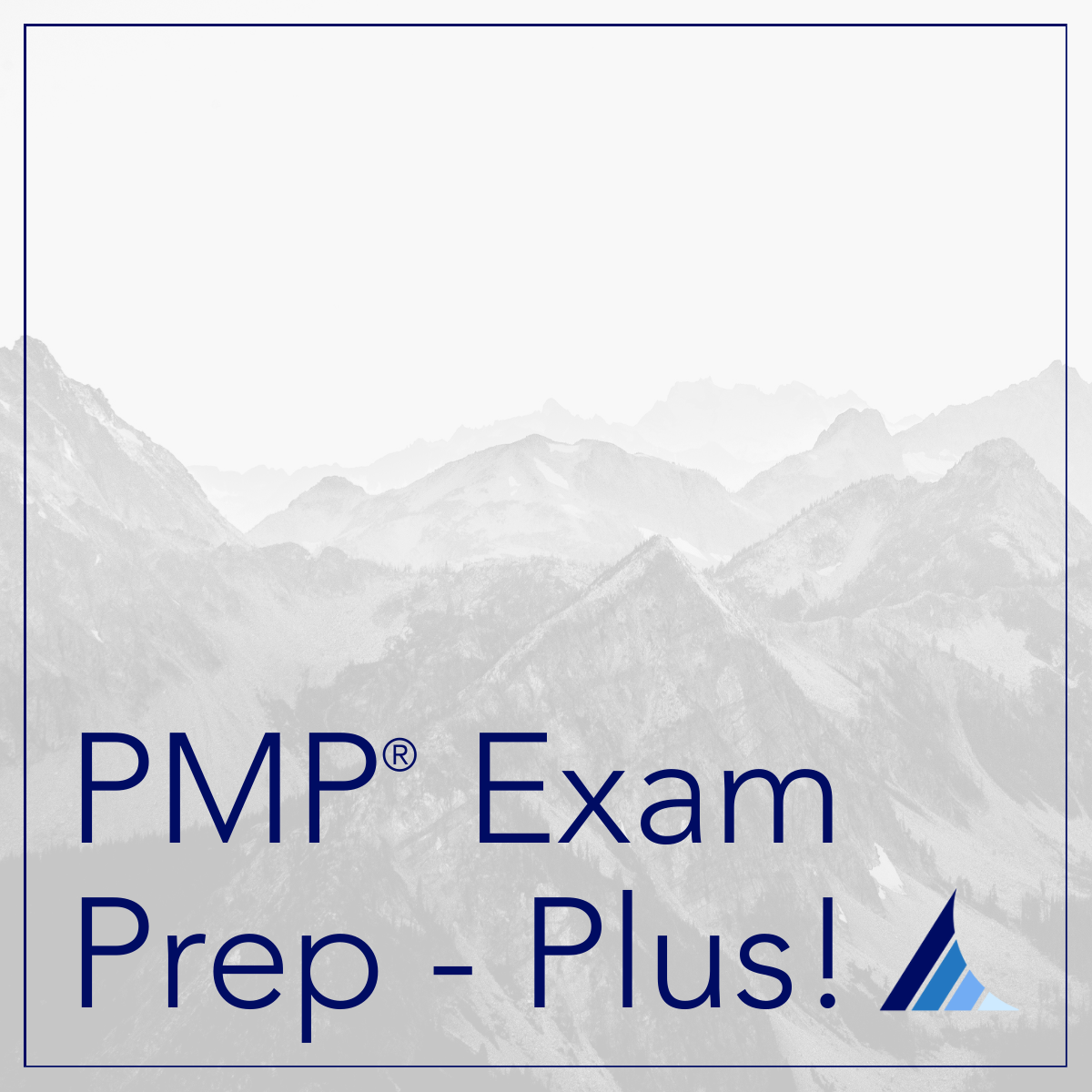 PMP® Exam Prep -  Plus!