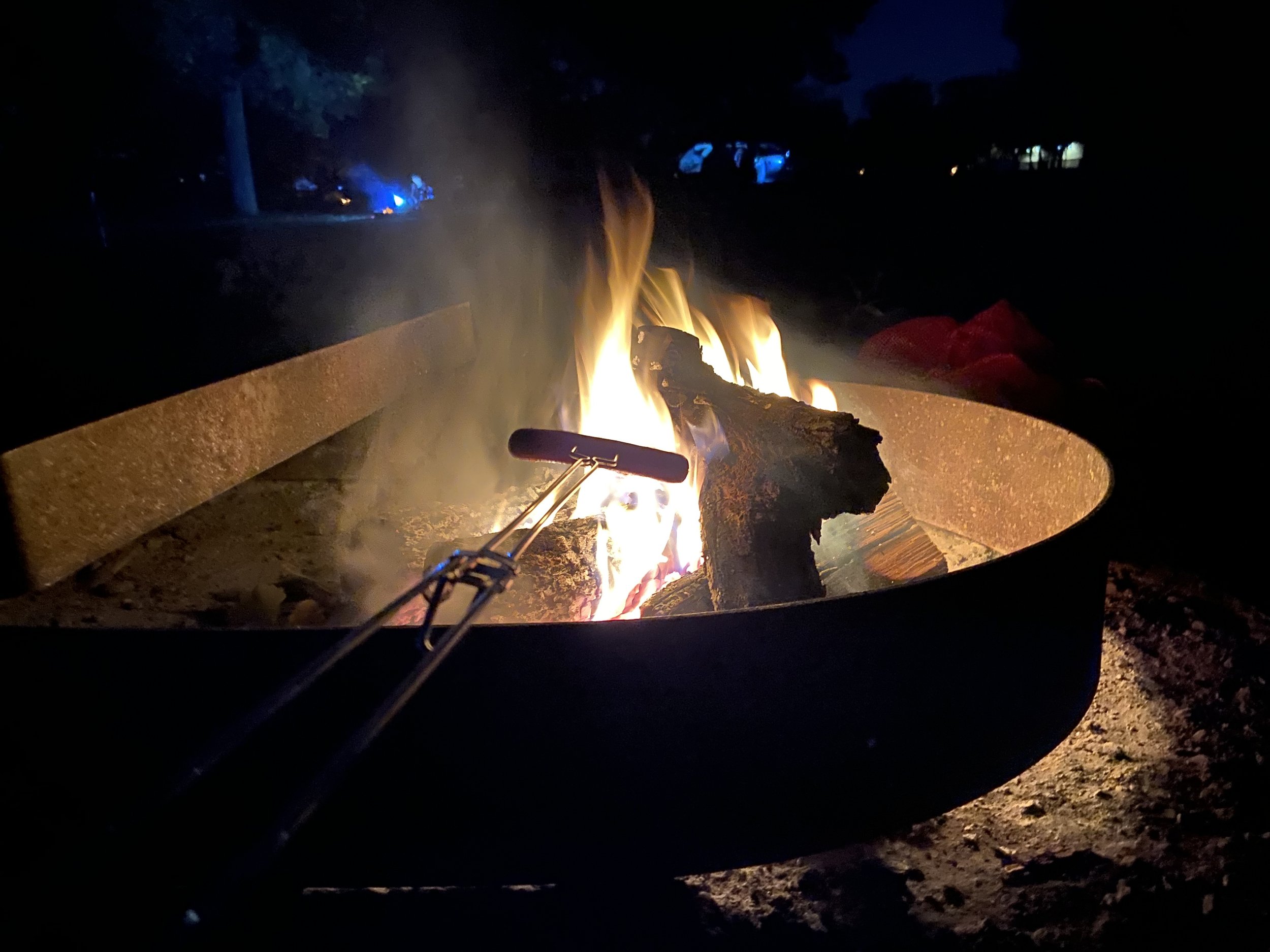 Campfire Roasted Hot Dogs