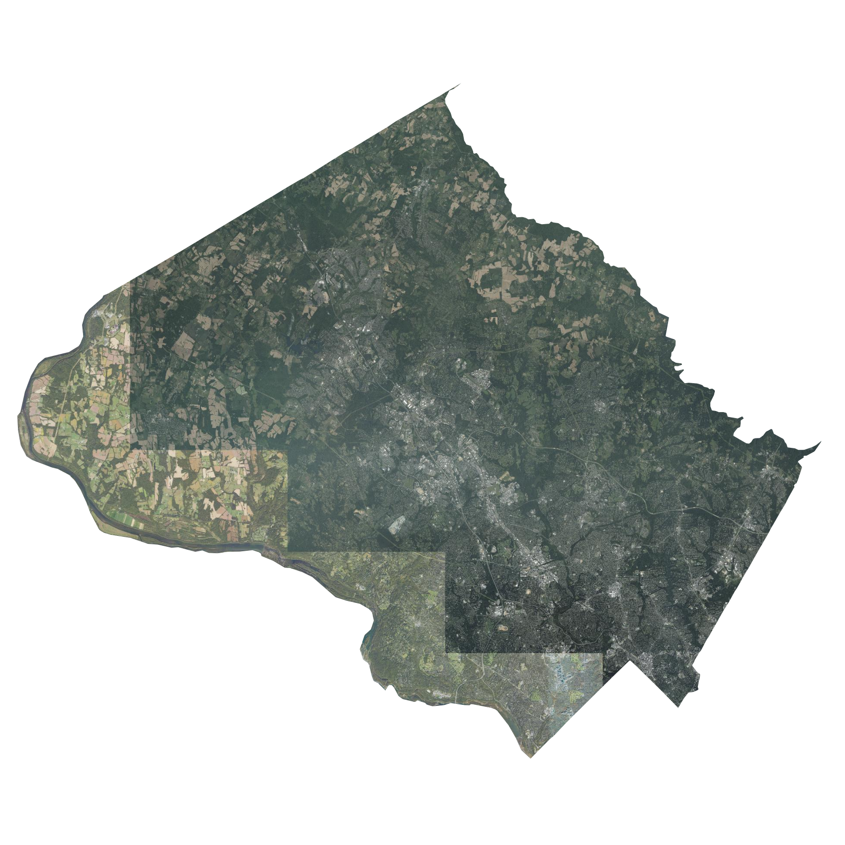 mg-naip.png