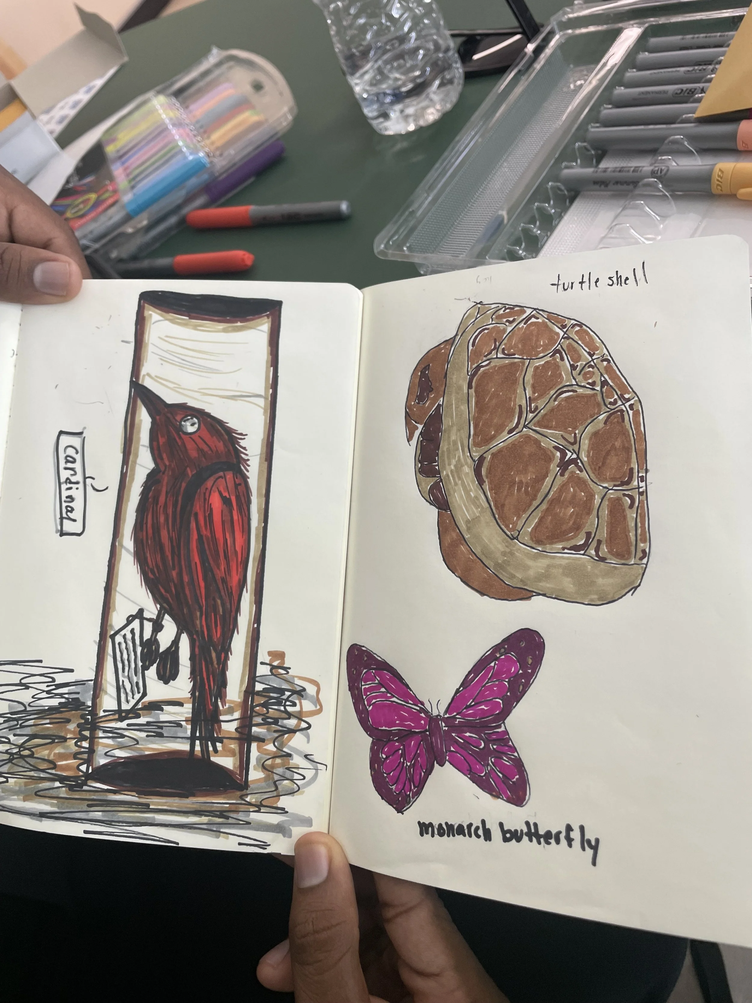 CLL partners with Mighty Acorns & Field Museum