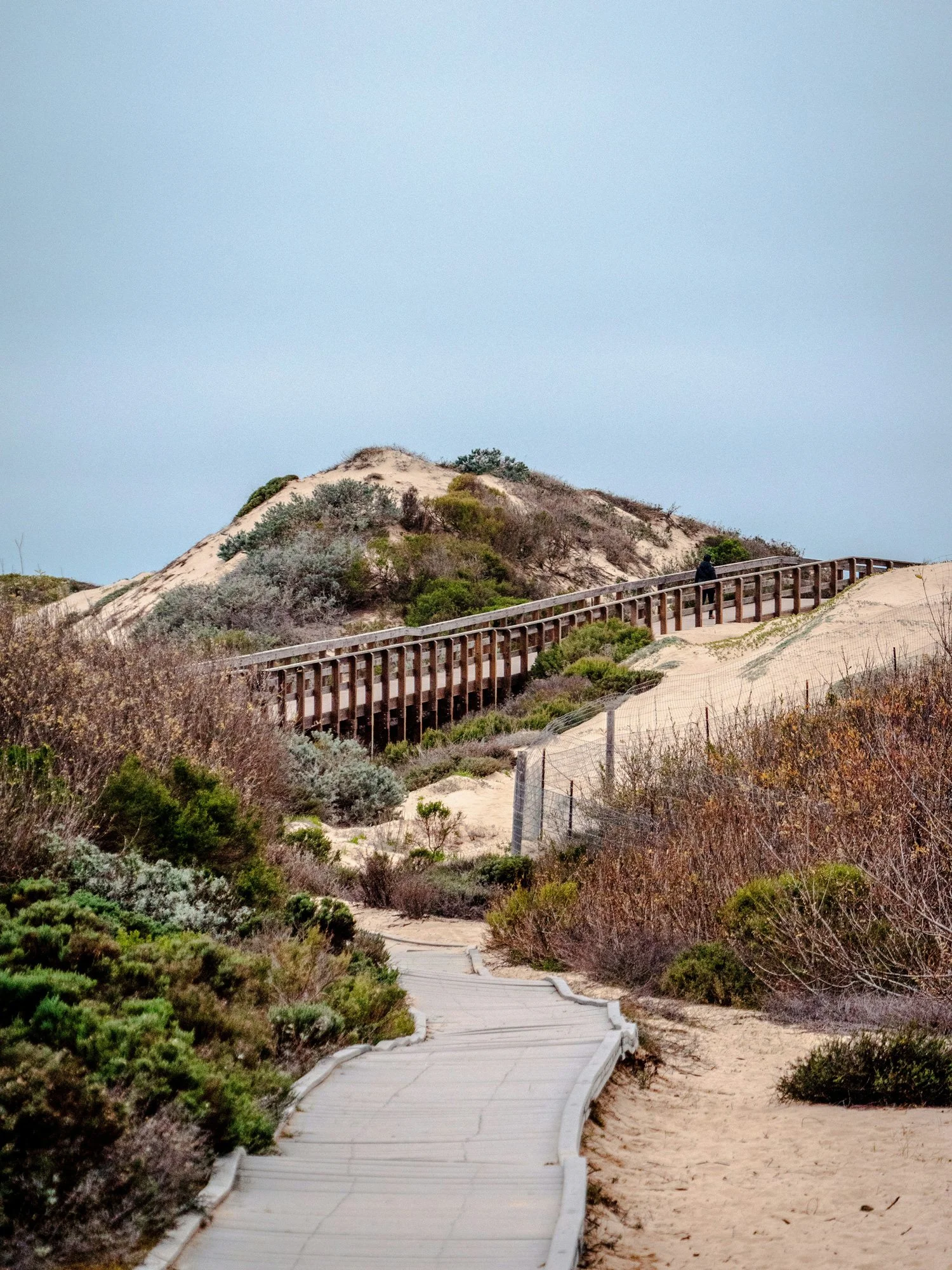 A sandy dune area with a winding wooden pathway and a fence, with sparse shrubbery and a person walking along the path under a cloudy sky.
