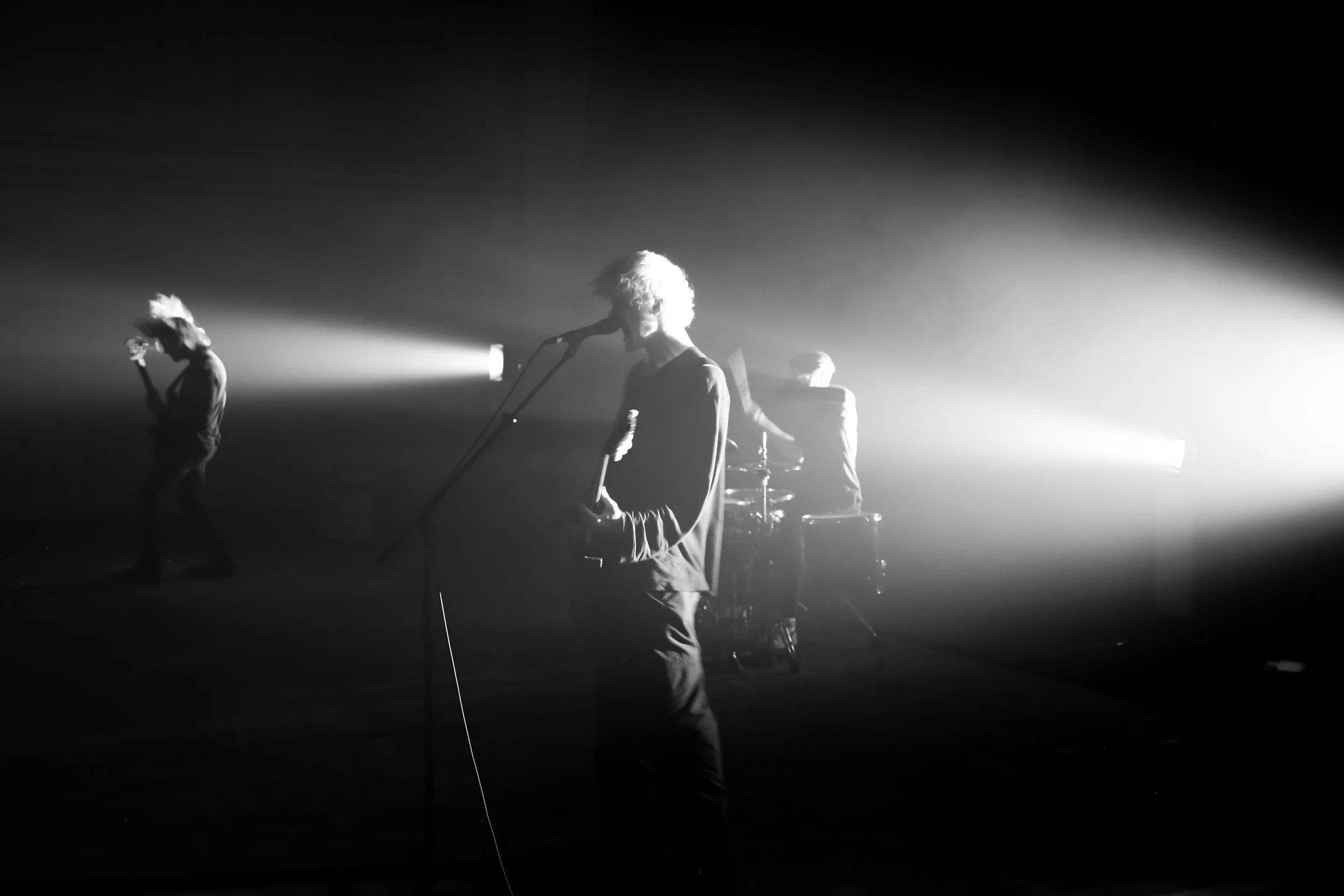 2024_NoSignal_edited-44.jpg