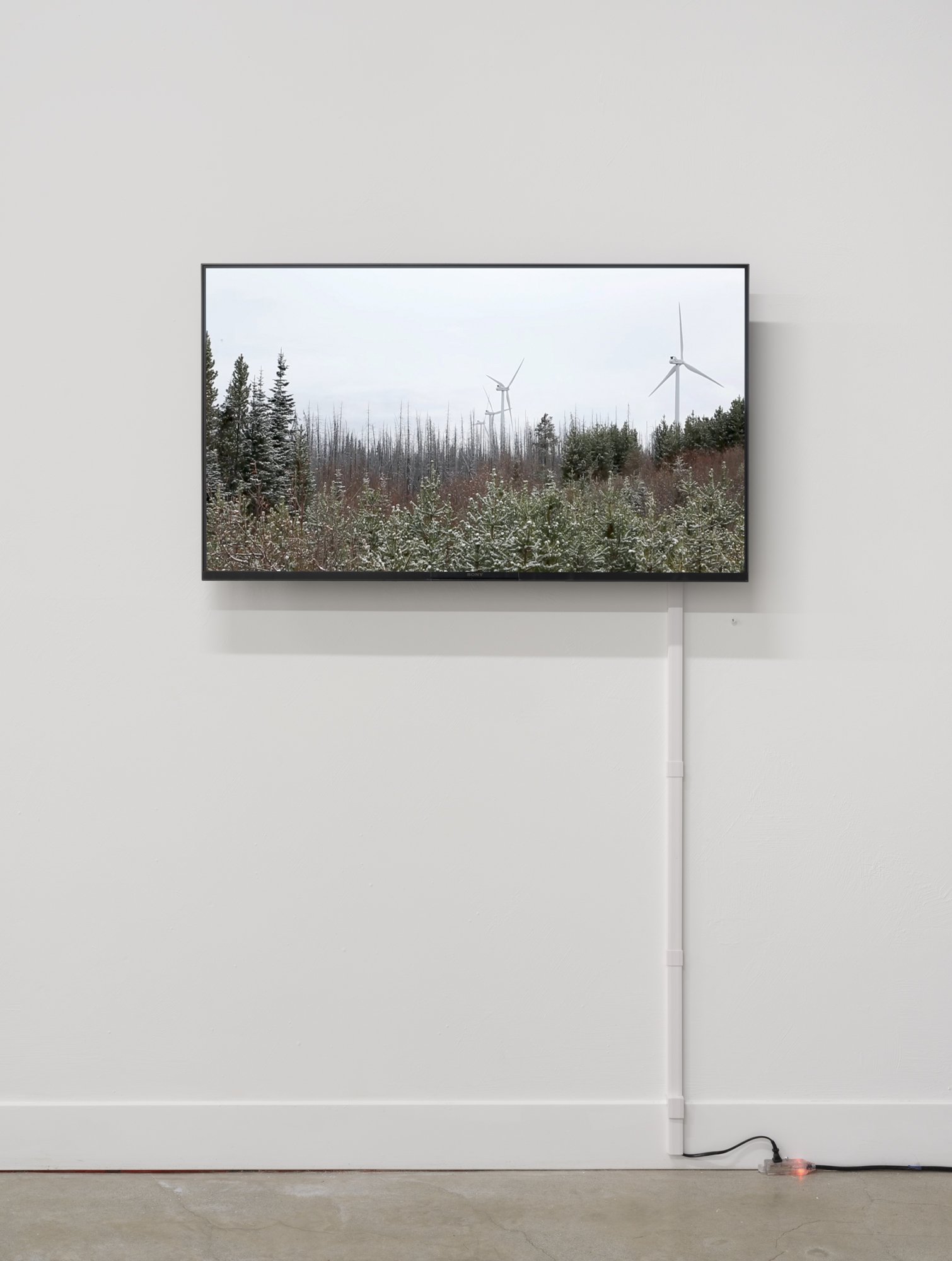 Installation view, "Becoming Anarchival". Kate Hennessy and Trudi Lynn Smith (Pairatext). Gallery 881, Vancouver. Nov 2- 30 2024. Photograph by Rachel Topham.