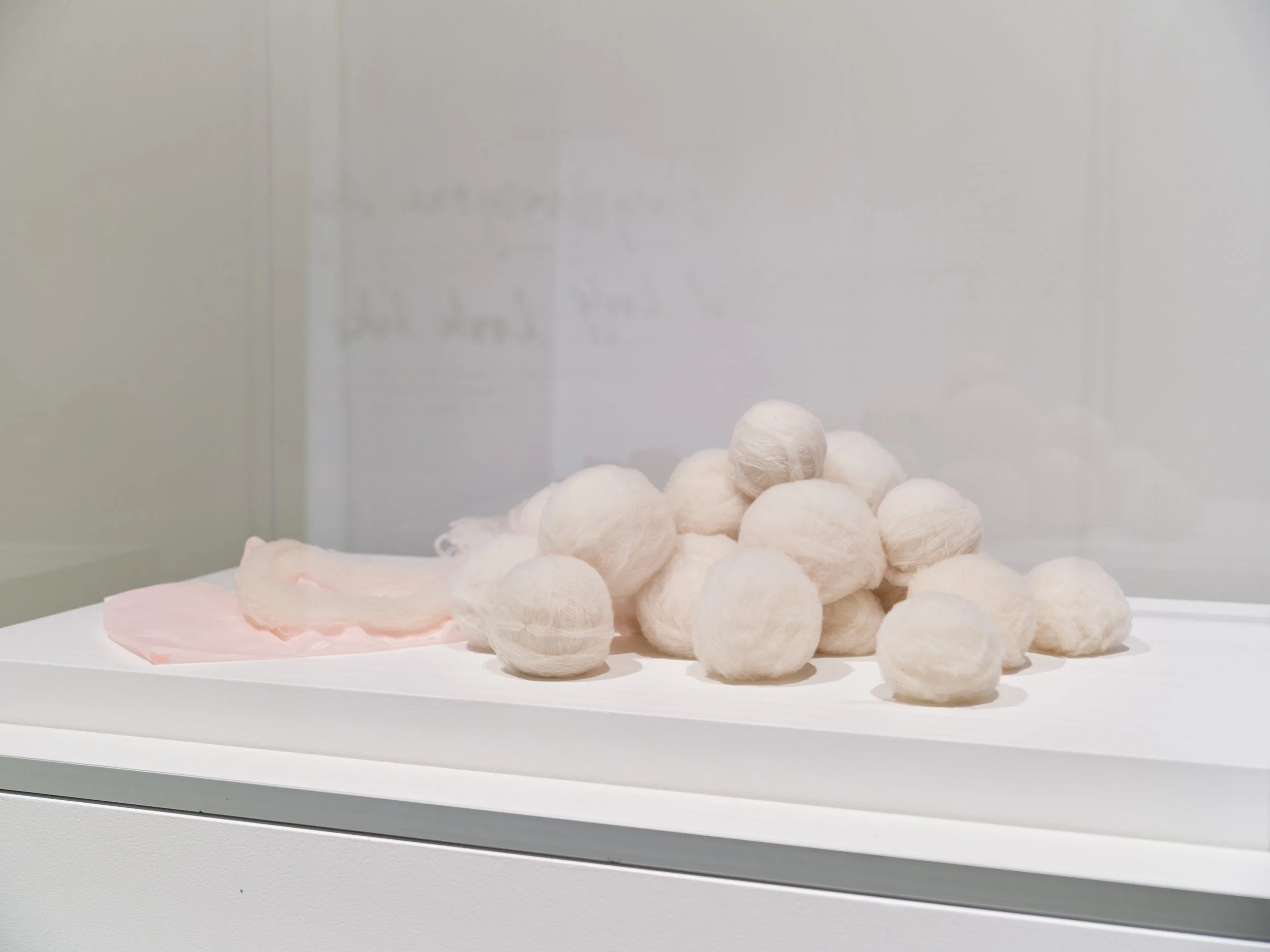 Photo by Dennis Ha, courtesy of the Museum of Anthropology at UBC.