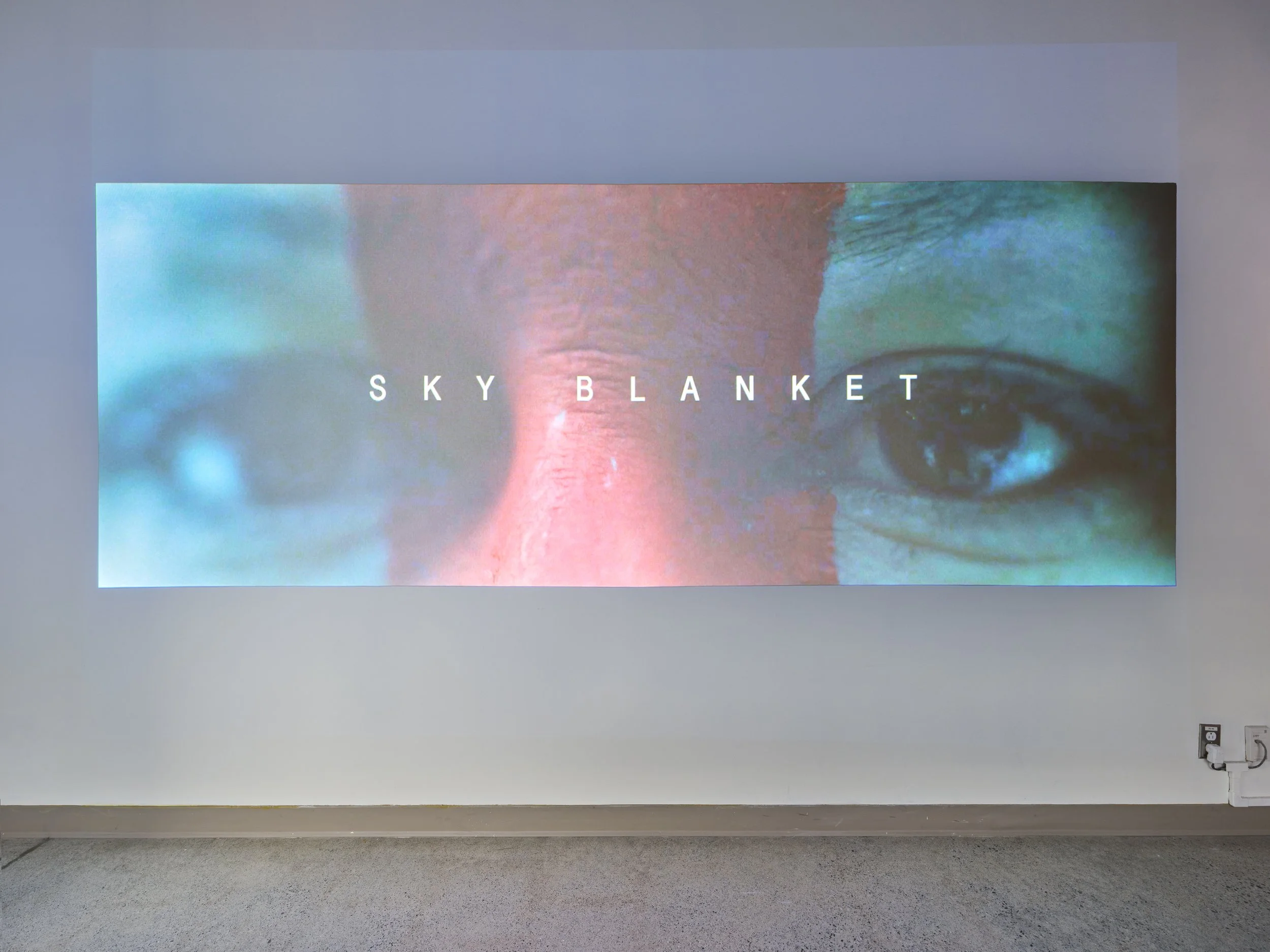 Photo by Dennis Ha, courtesy of the Museum of Anthropology at UBC.