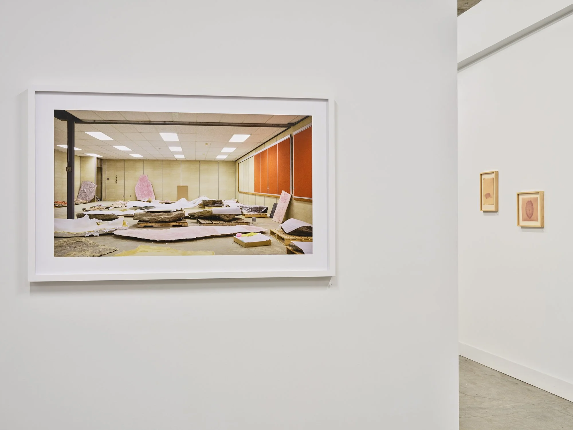 Installation view, "Becoming Anarchival". Kate Hennessy and Trudi Lynn Smith (Pairatext). Gallery 881, Vancouver. Nov 2- 30 2024. Photograph by Rachel Topham.