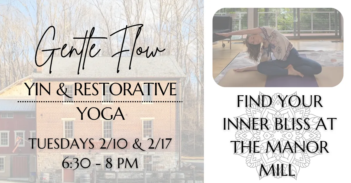 Gentle Flow, Yin and Restorative Yoga