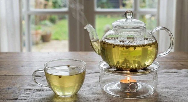 More Than a Number: Why I Refused Statins and Embraced the Wisdom of Ayurveda