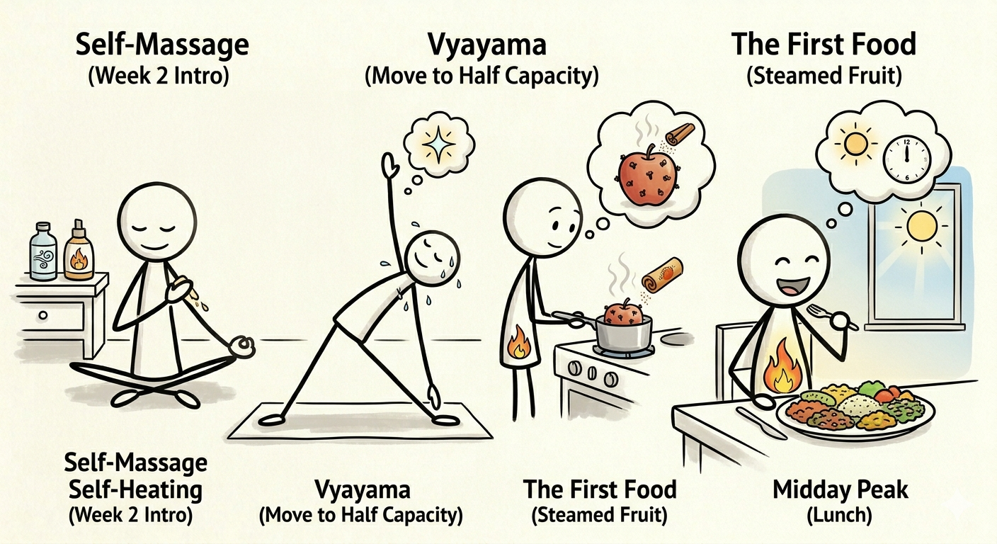 Illustrated guide to Week 2 Dinacharya practices — Abhyanga self-massage, Vyayama movement, steamed first food, and honoring the midday Agni peak
