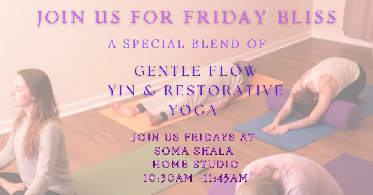 Gentle, Flow, Yin &amp; Restorative Yoga 