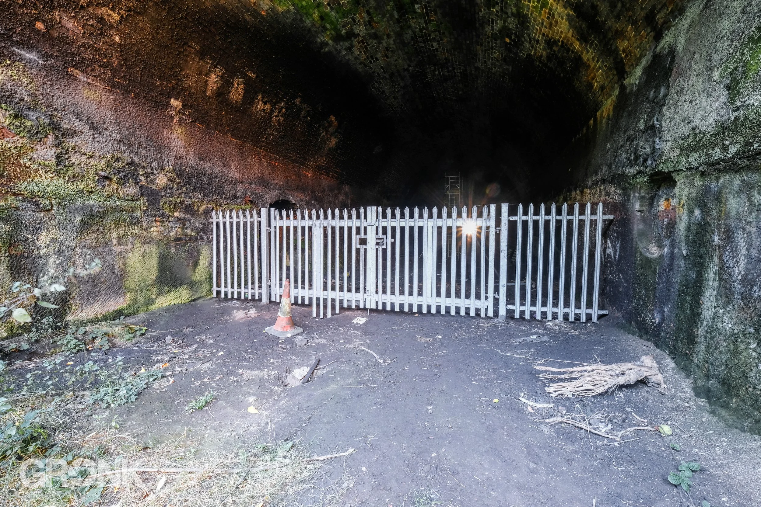 DSCF8817.jpg