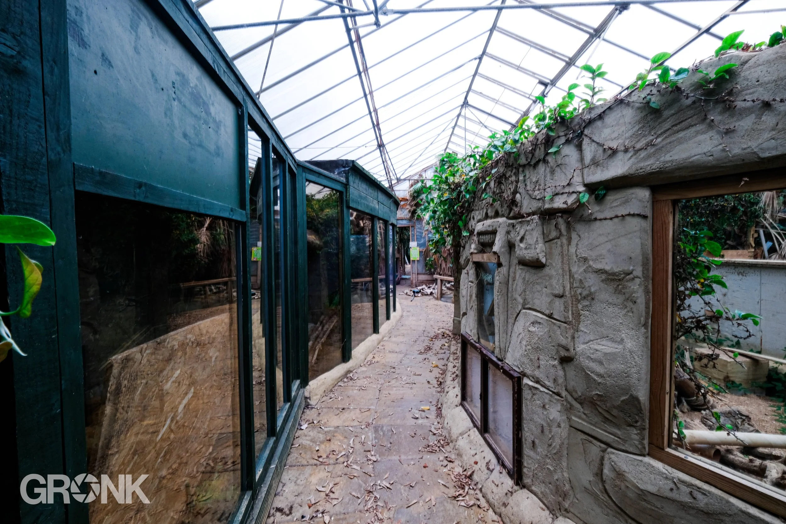 DSCF7435.jpg