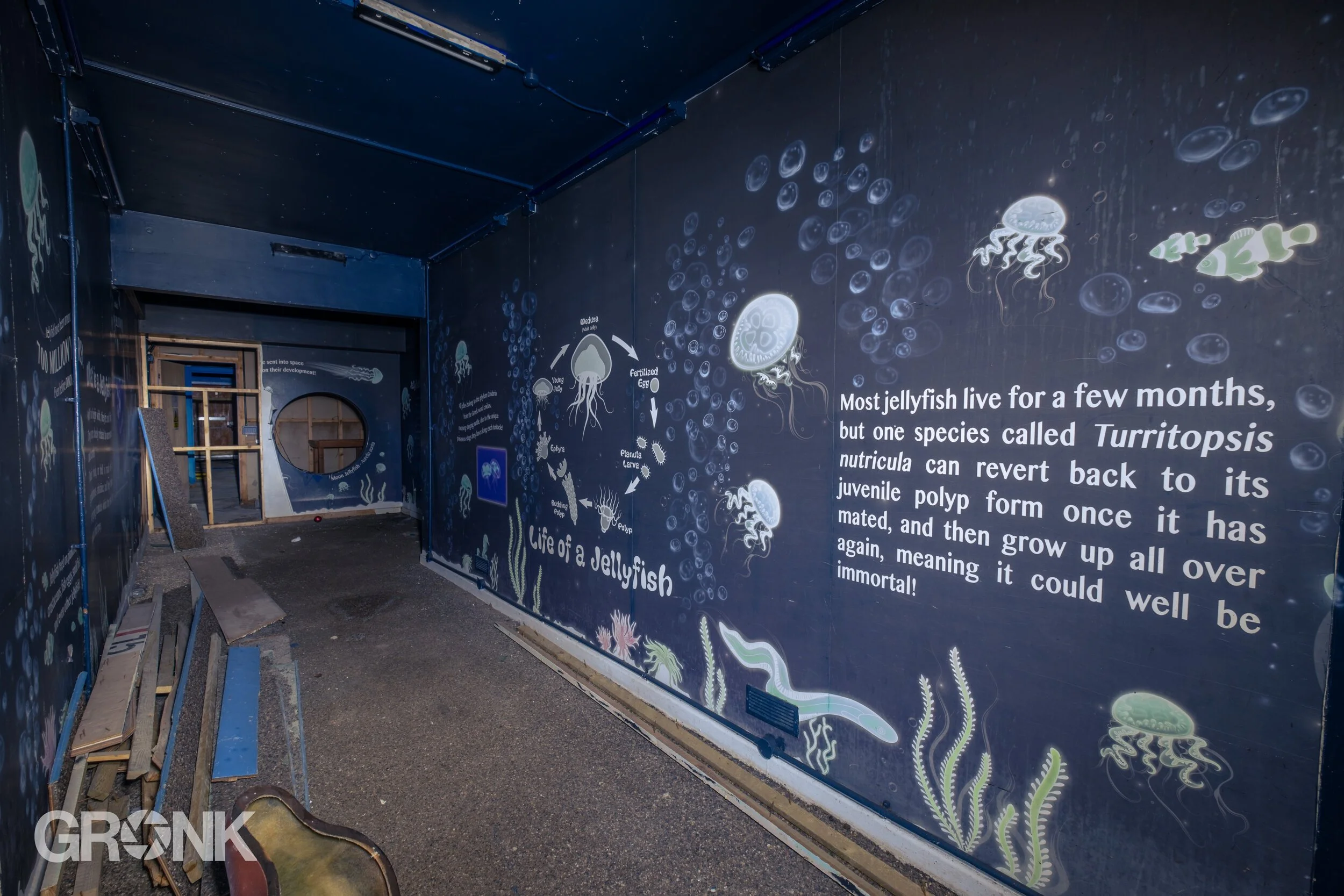 DSCF9540.jpg