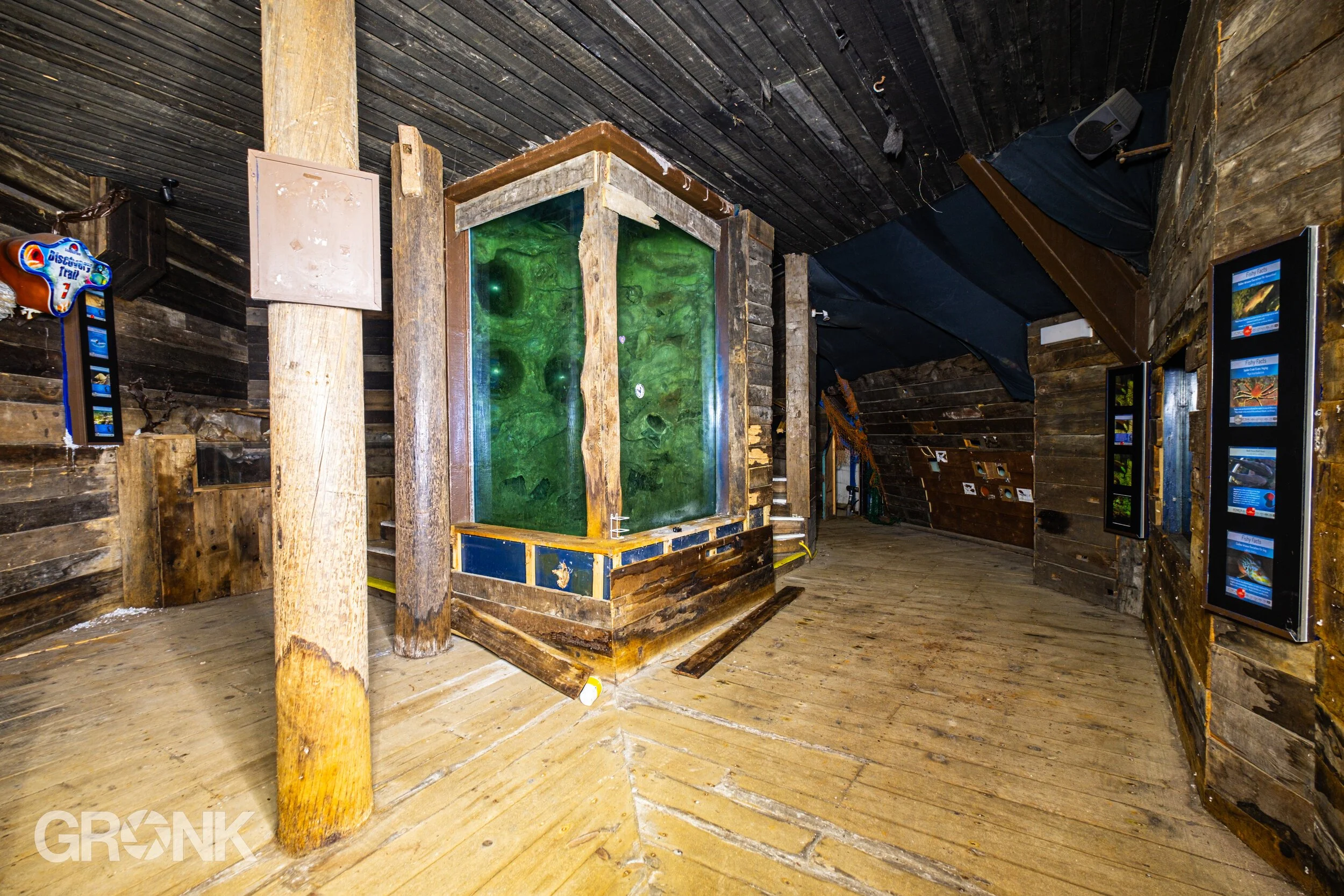 DSCF9559.jpg