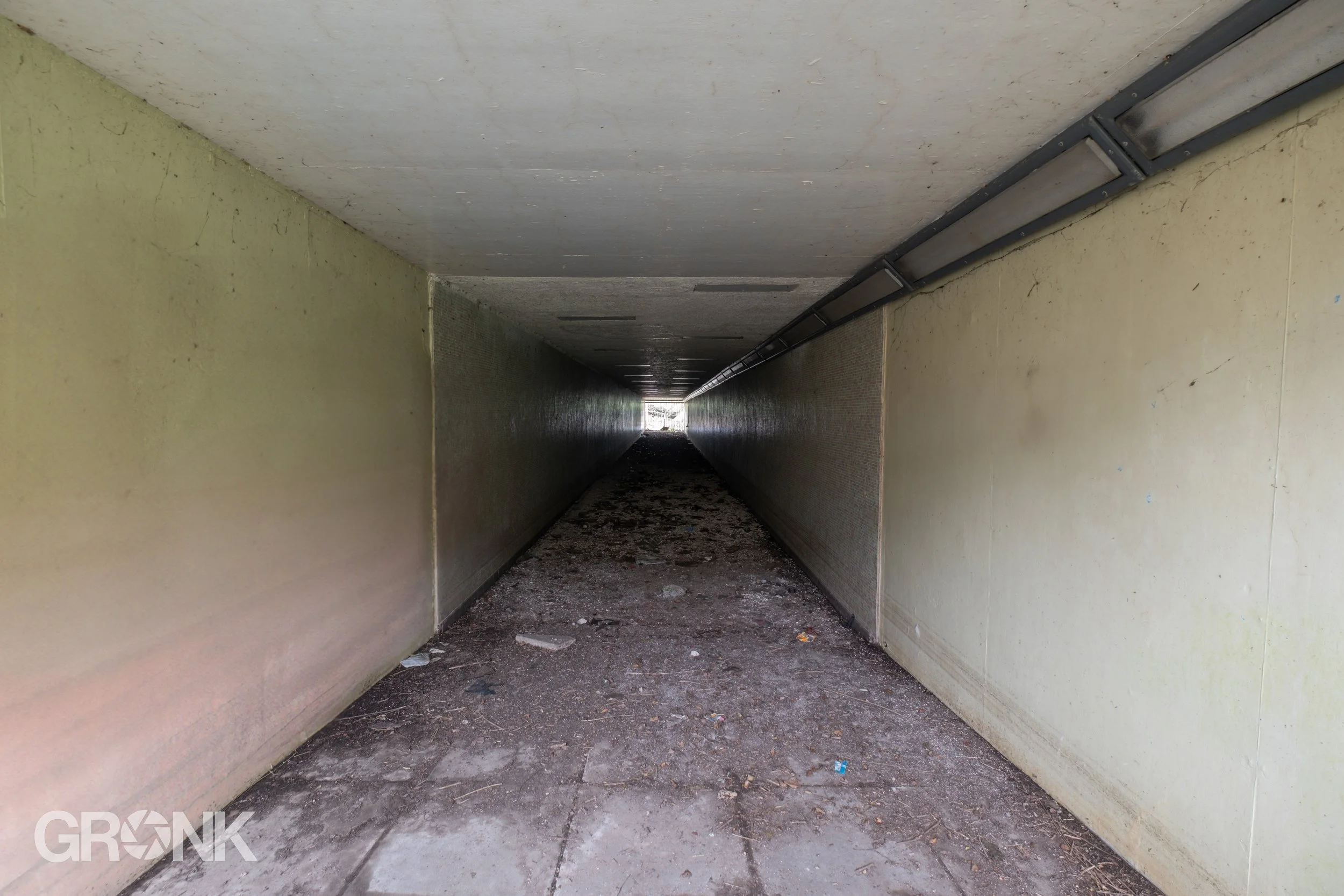 DSCF0210.jpg