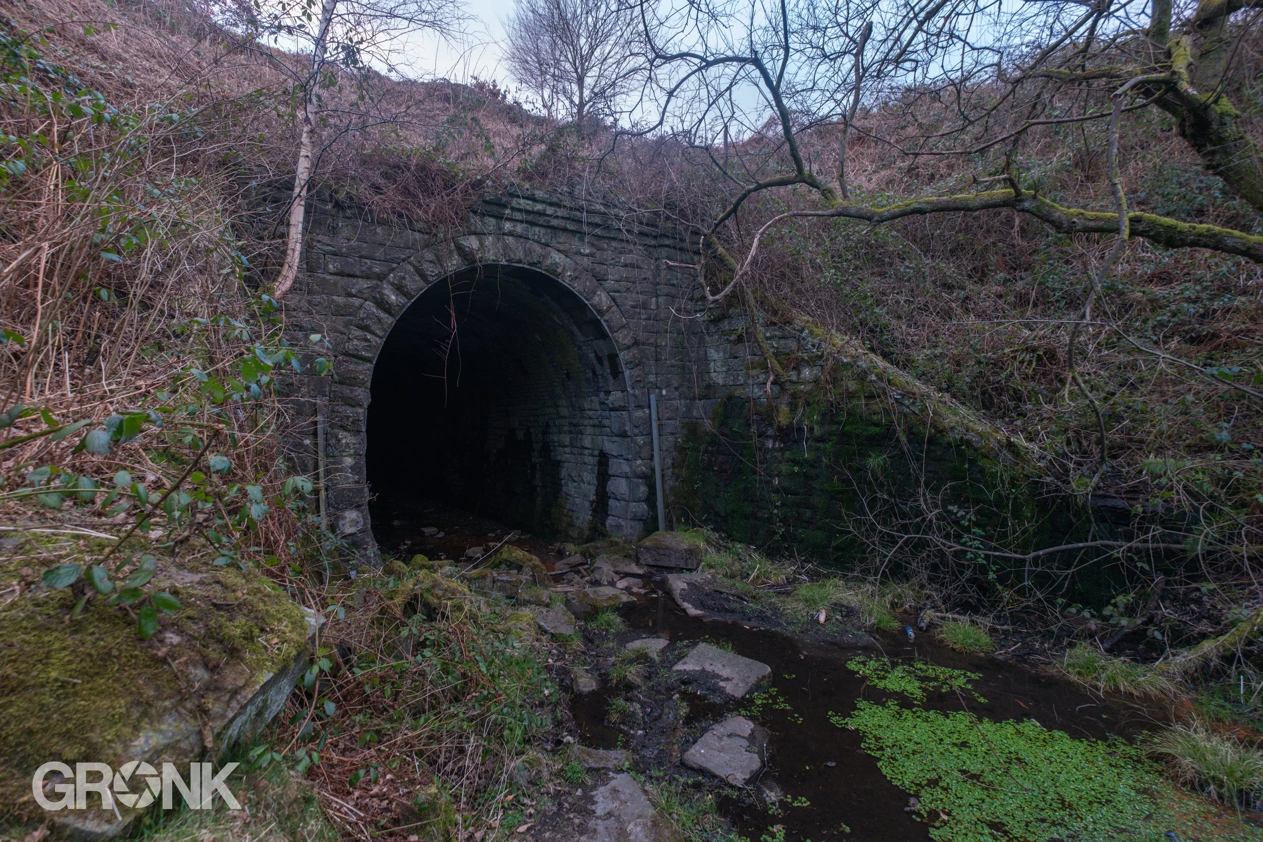 DSCF0576.jpg