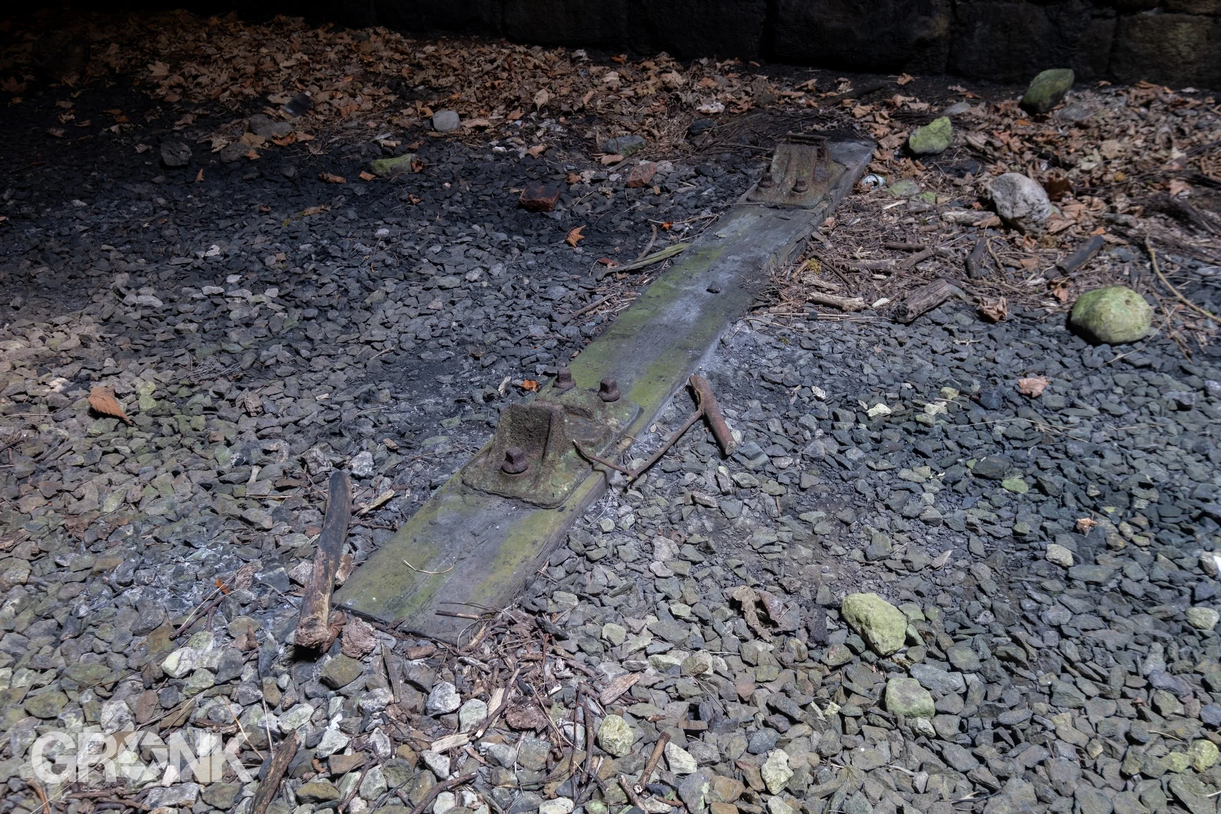 DSCF2122.jpg
