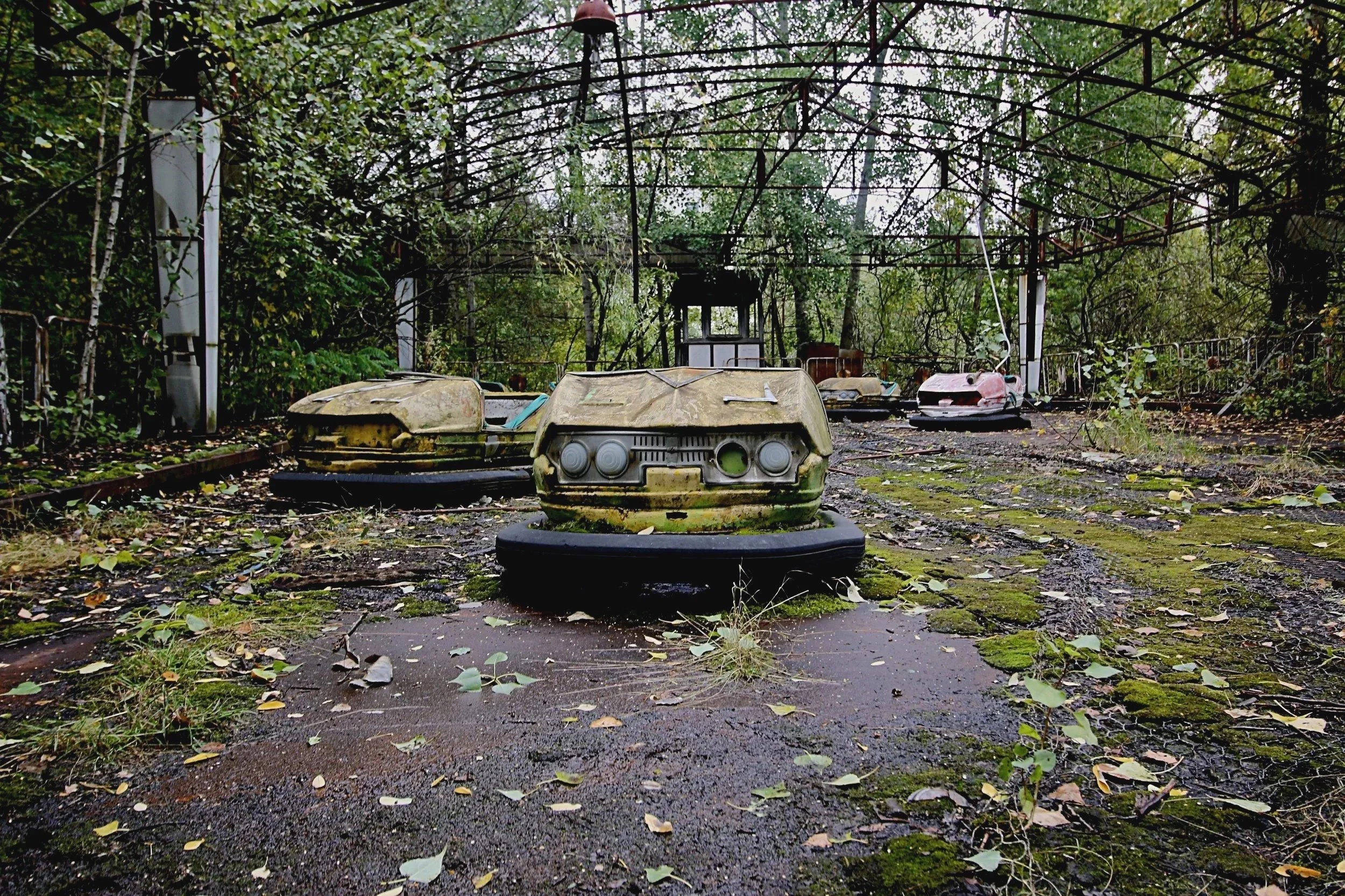 An abandoned bumper car sits in the foreground of a decaying amusement ride pavilion in the Chernobyl Exclusion Zone. The rusted metal framework overhead is overgrown with trees and vines, while moss, weeds, and fallen leaves cover the cracked paveme