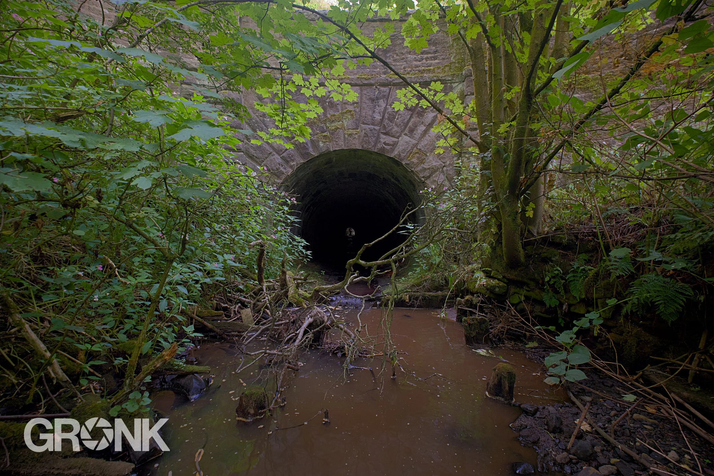 DSCF3161.jpg