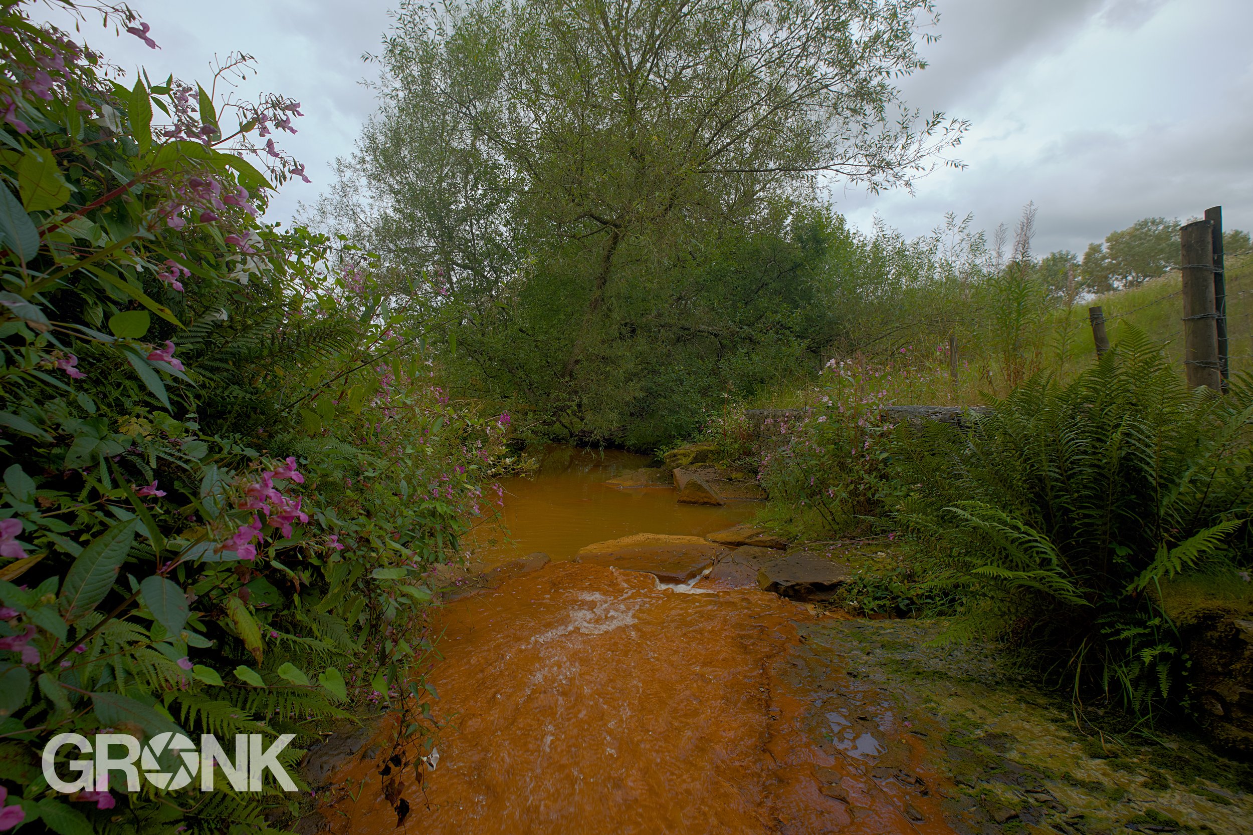 DSCF3168.jpg