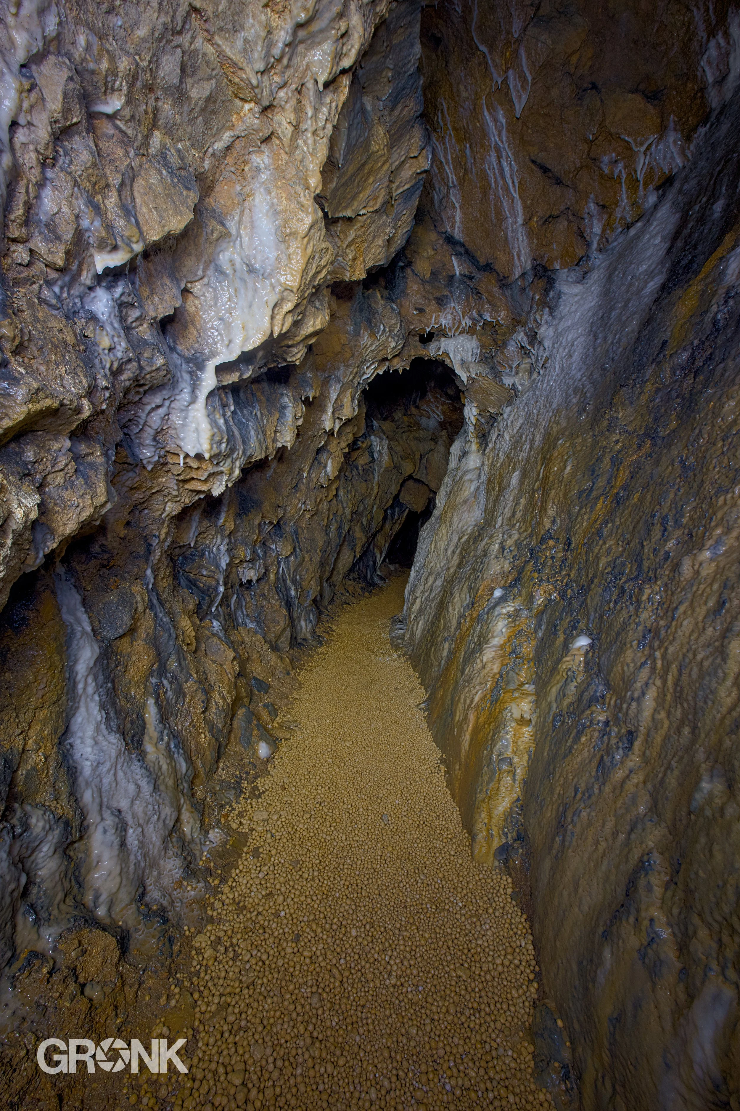 DSCF3618.jpg
