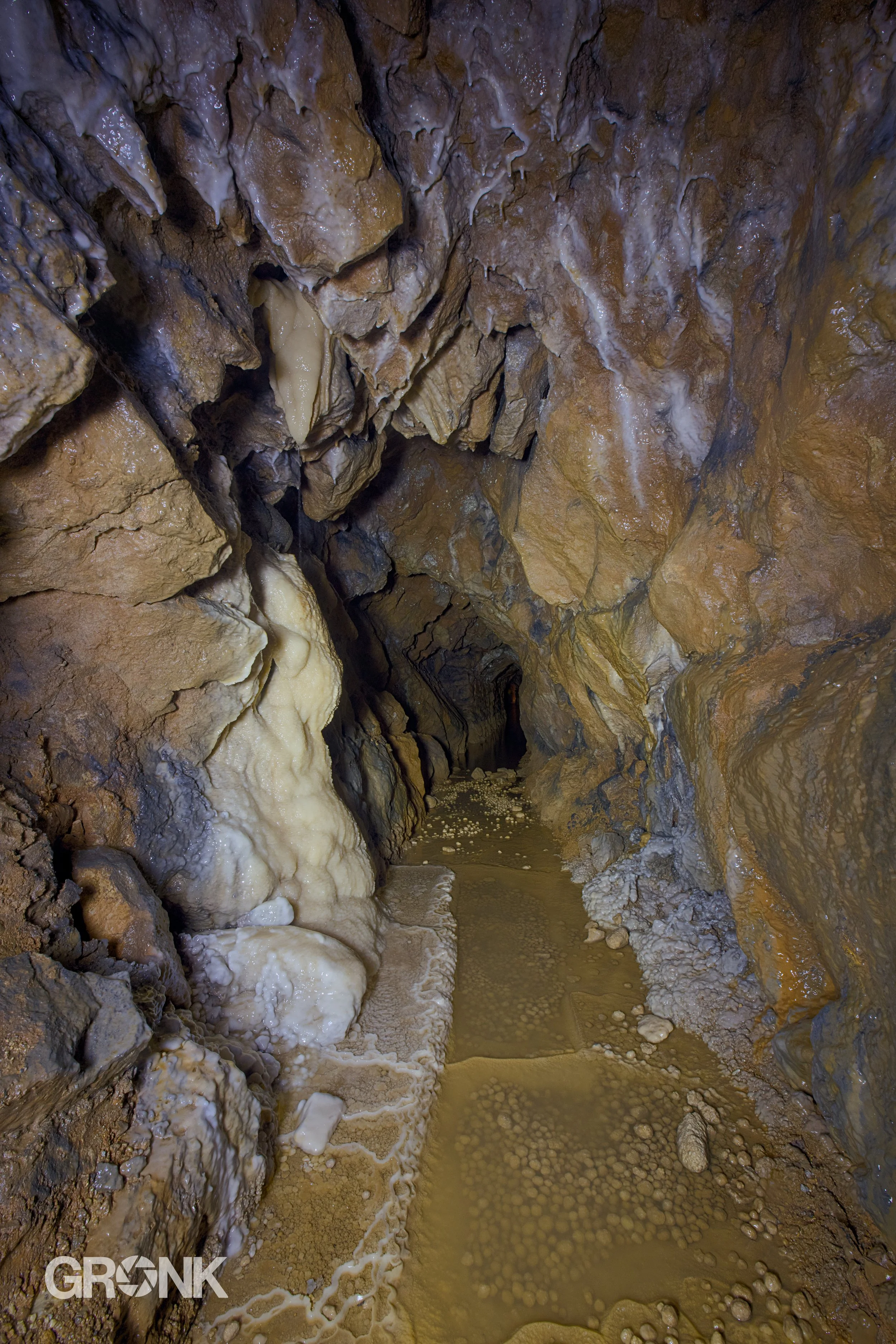 DSCF3623.jpg