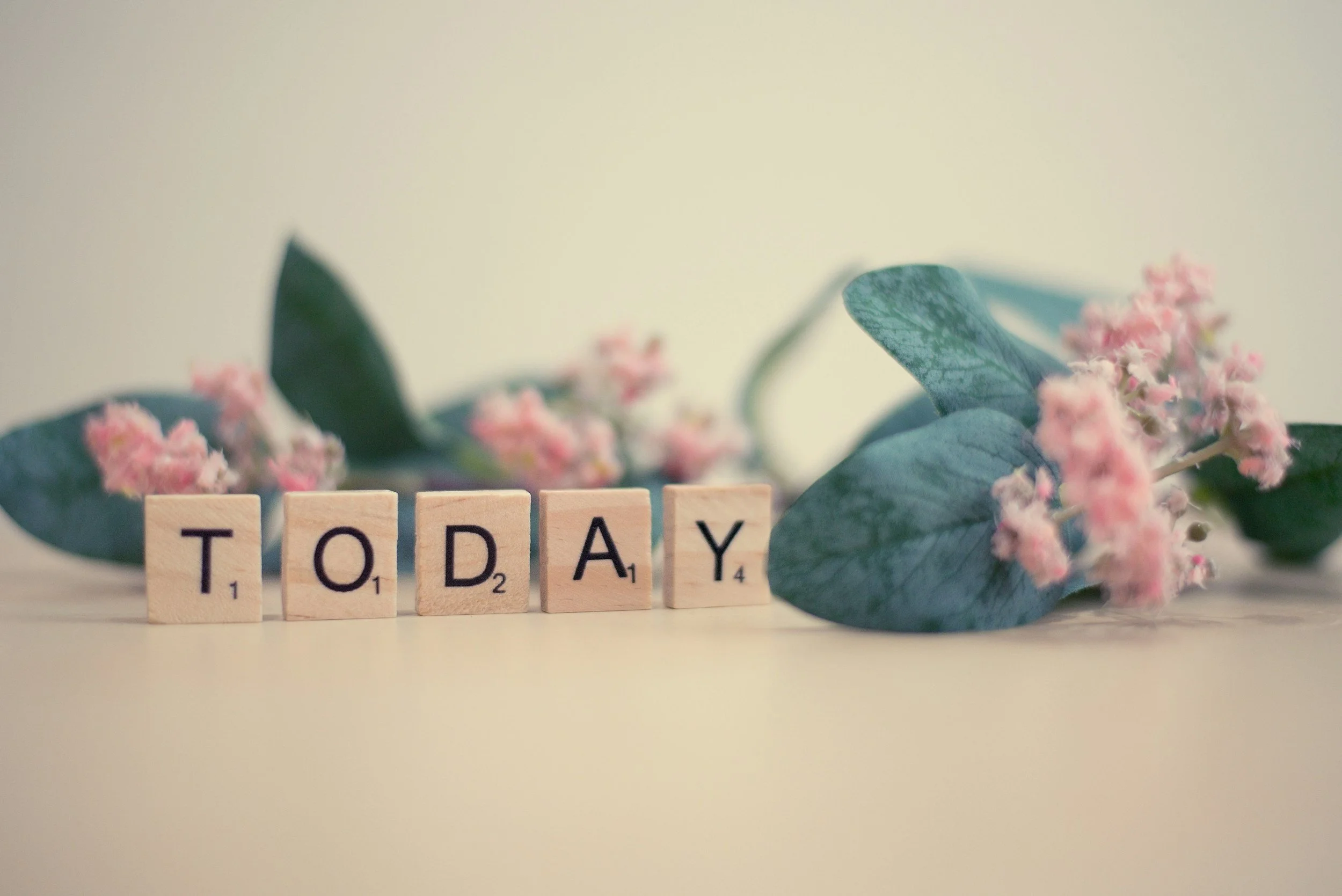 Why Healing Compassion Fatigue Starts on a Tuesday; Not on a Vacation