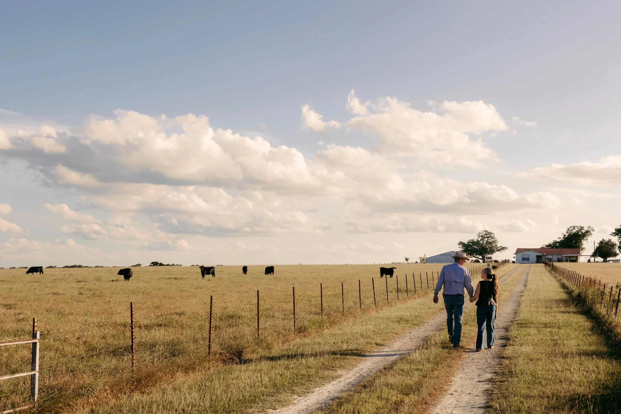 A rural scene with a vast open field and grazing cows under a partly cloudy sky. Two people, a man and a woman, walk down a dirt path near a farmhouse, with trees and fences bordering the field.