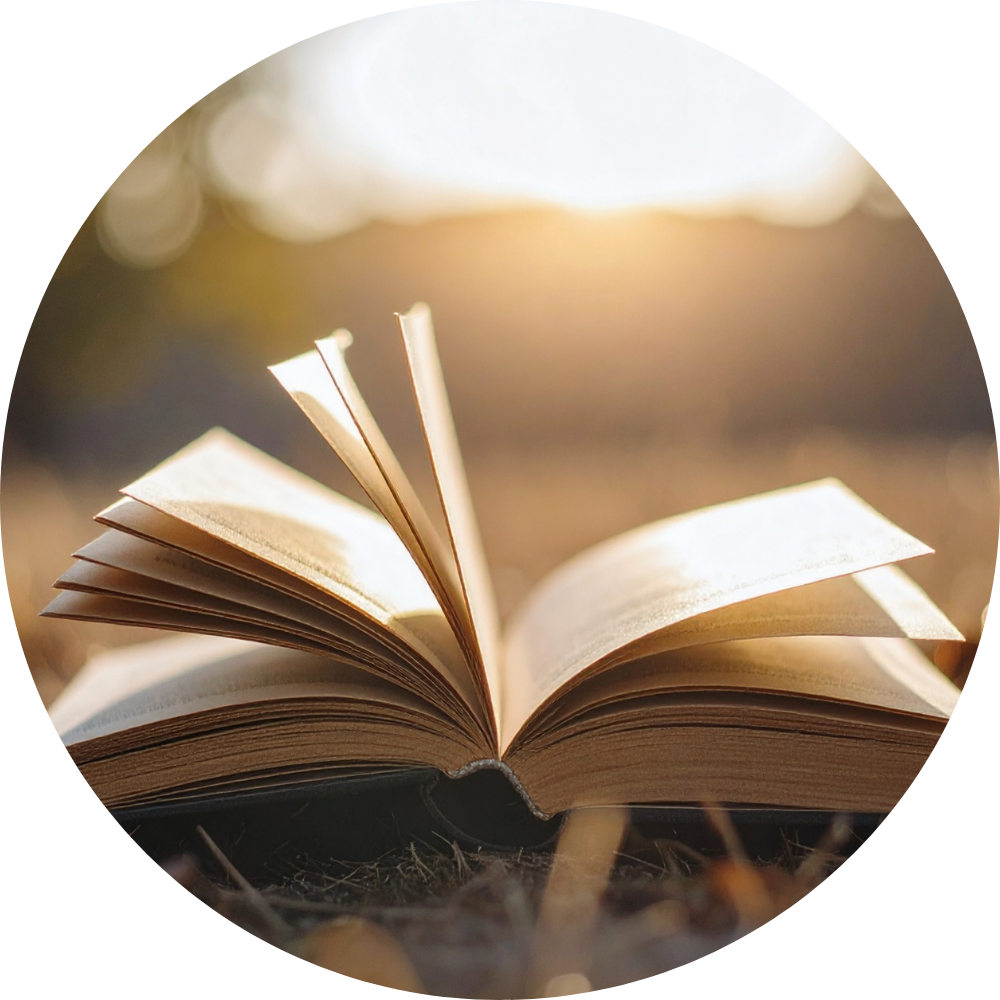 Open book with pages fanned out, outdoors with blurred sunlight in the background.