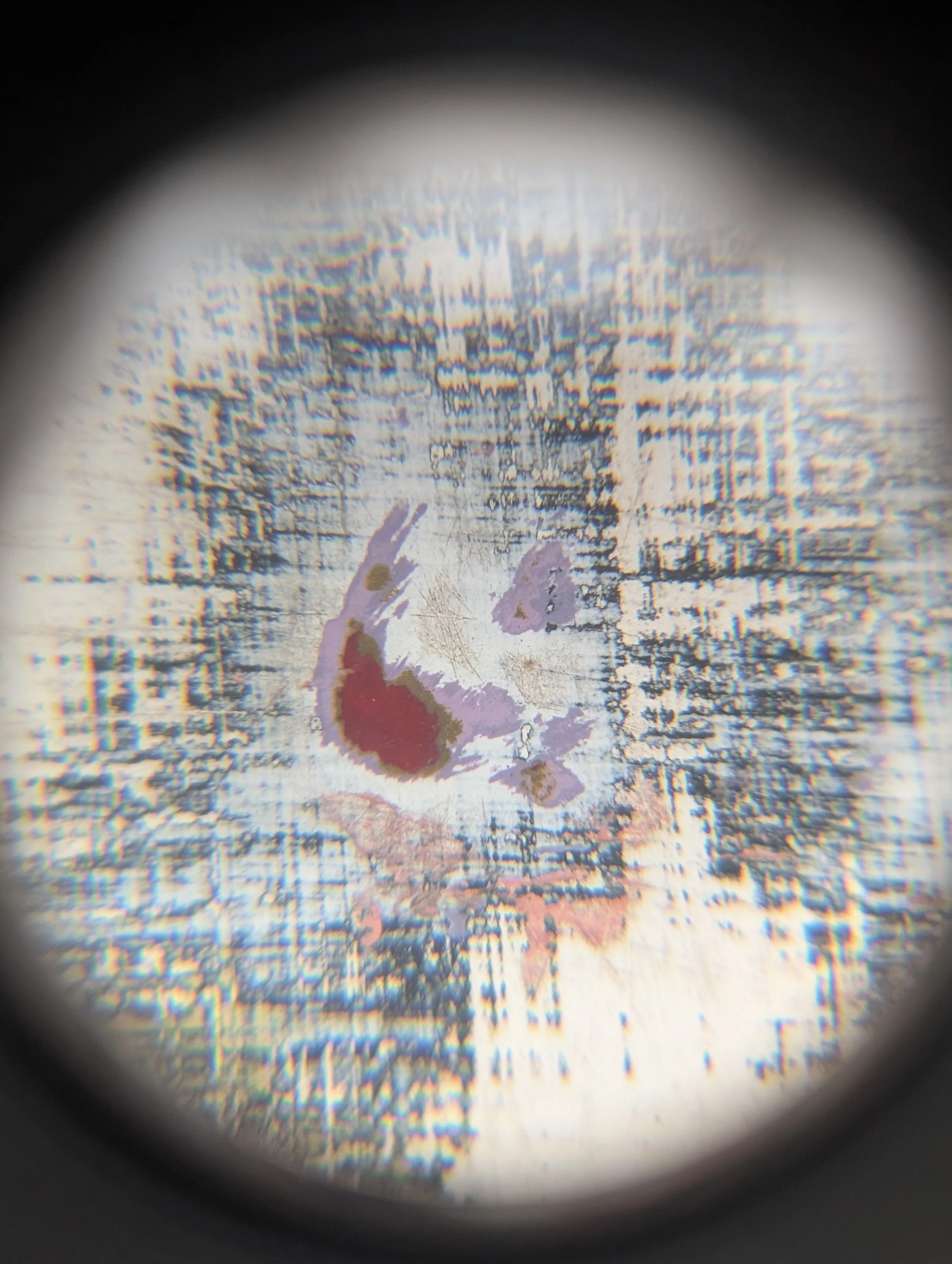 PXL_20241220_201424128.jpg
