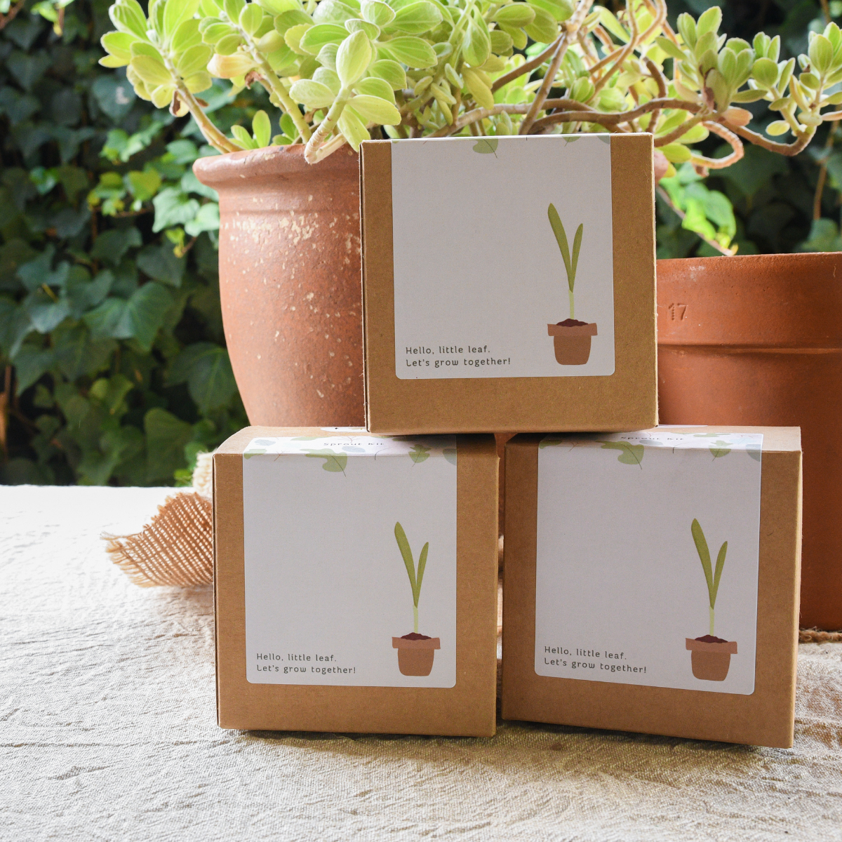 kids planting kit
