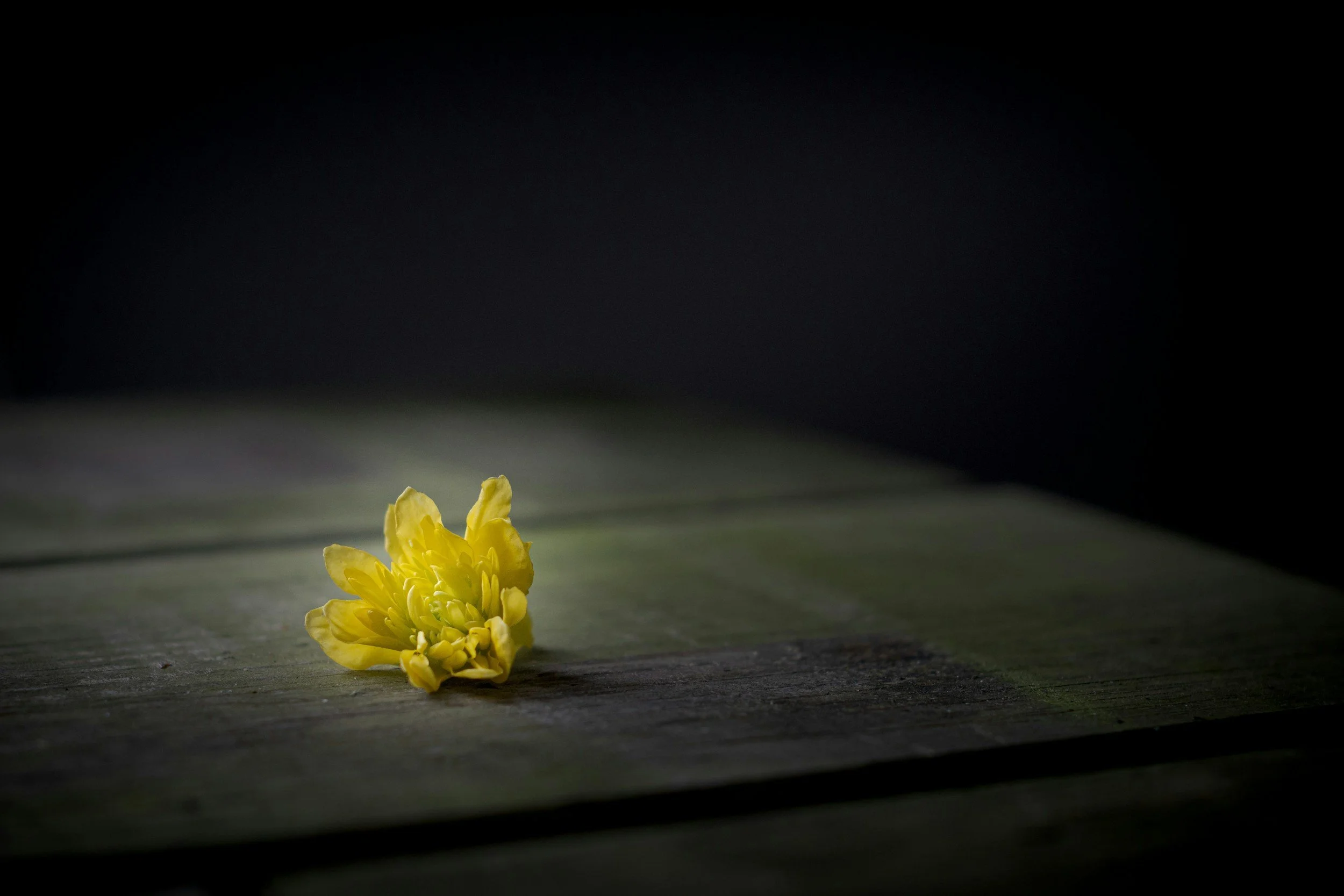When God Doesn’t Answer: Trusting the One Who Already Gave Everything