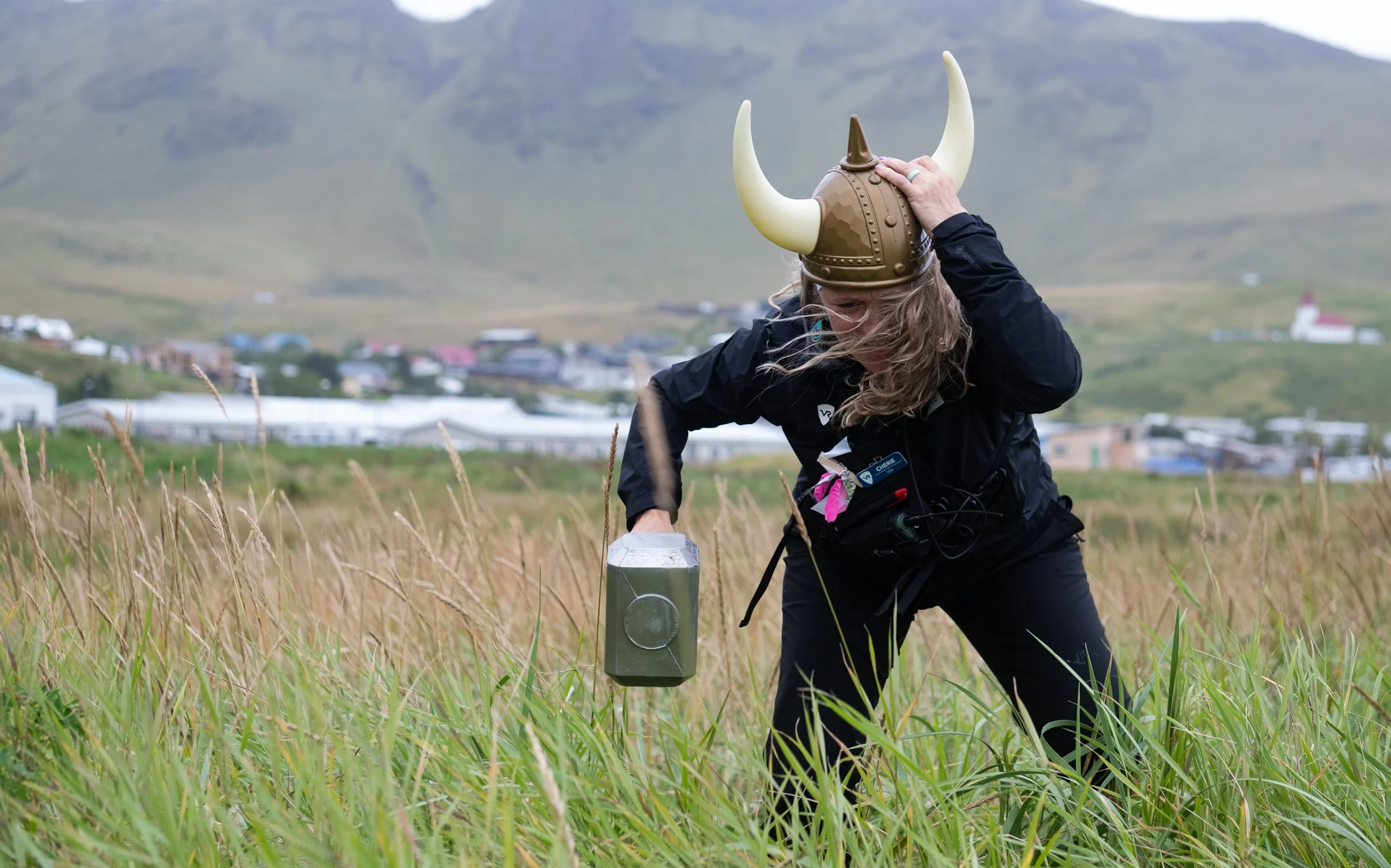 VIKING.jpg