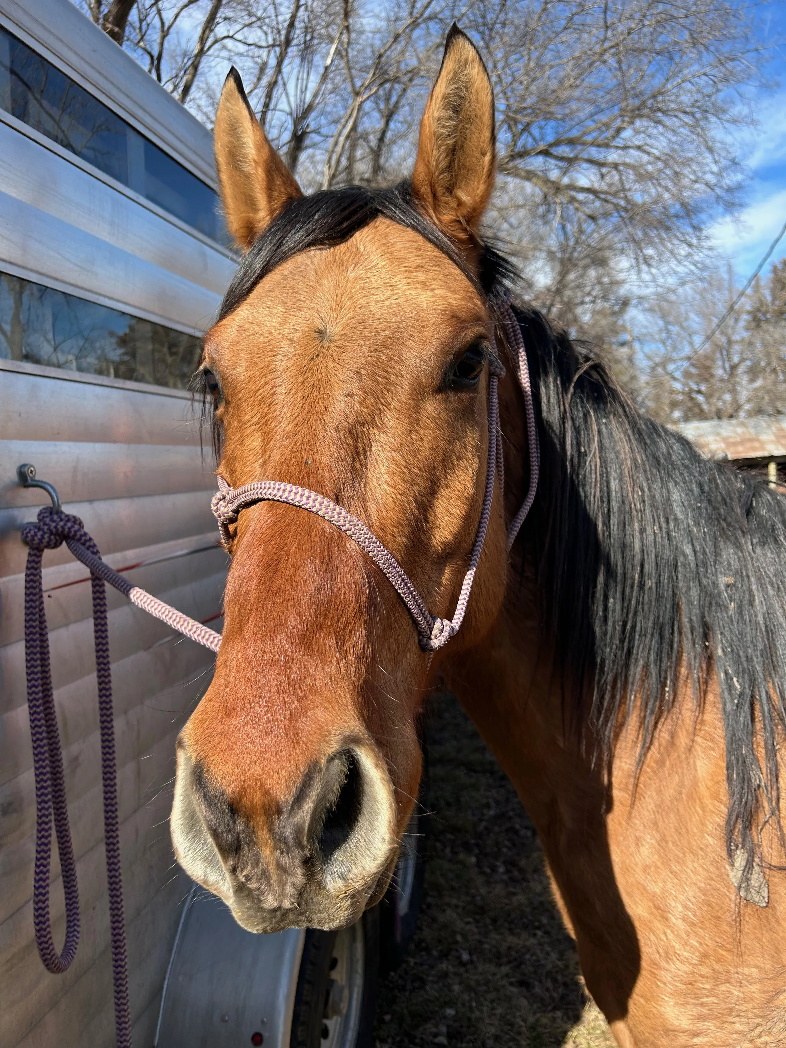 Weekly Ranch Update - February 13