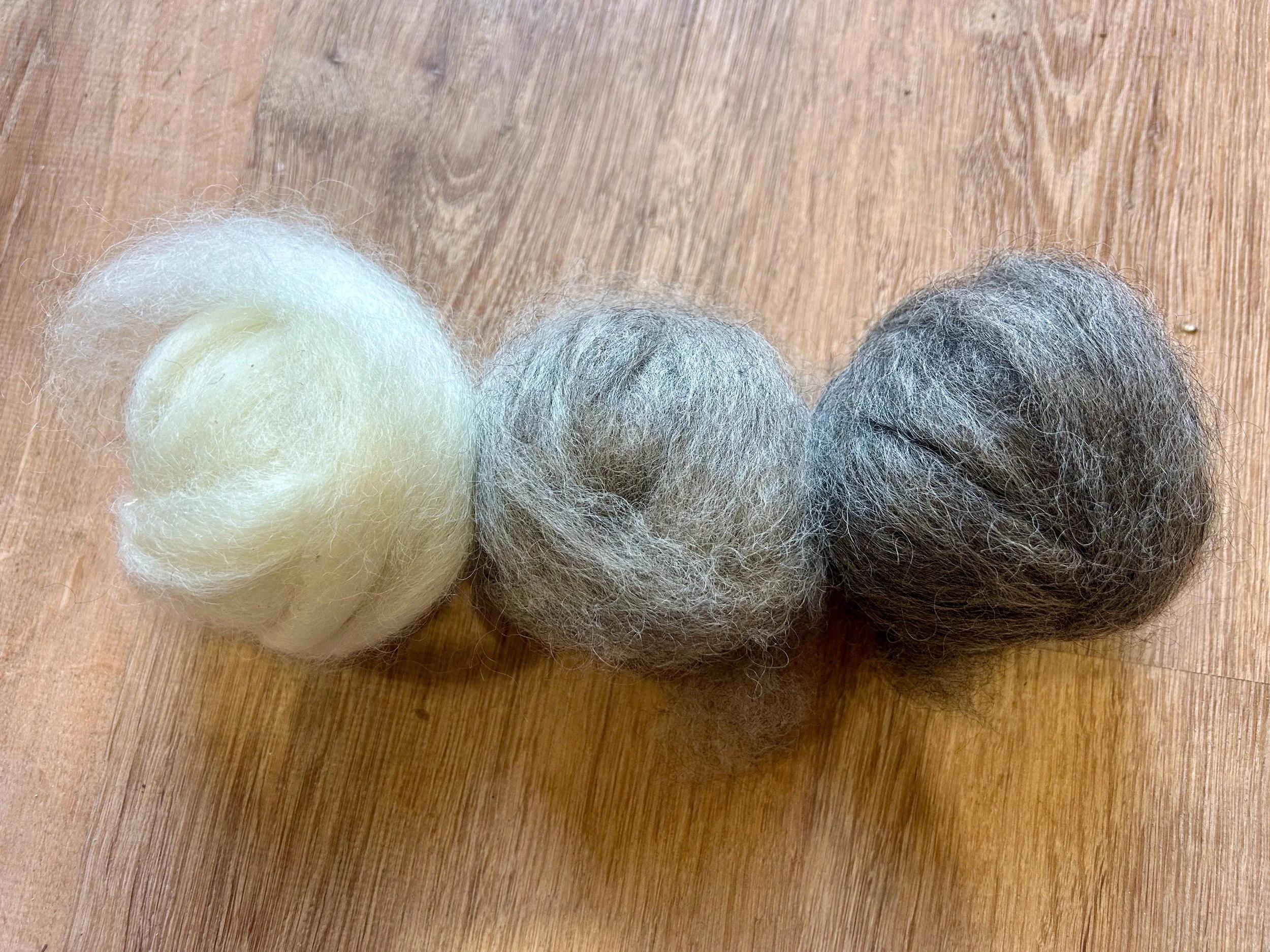 Border Leicester Roving