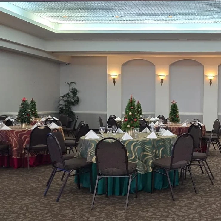 &iexcl;La magia de la Navidad se vive mejor en el Centro de Banquetes Los Chavales!

Desde cenas familiares hasta celebraciones corporativas, tenemos el espacio perfecto para disfrutar con los que m&aacute;s quieres.

Pregunta por nuestras ofertas
78