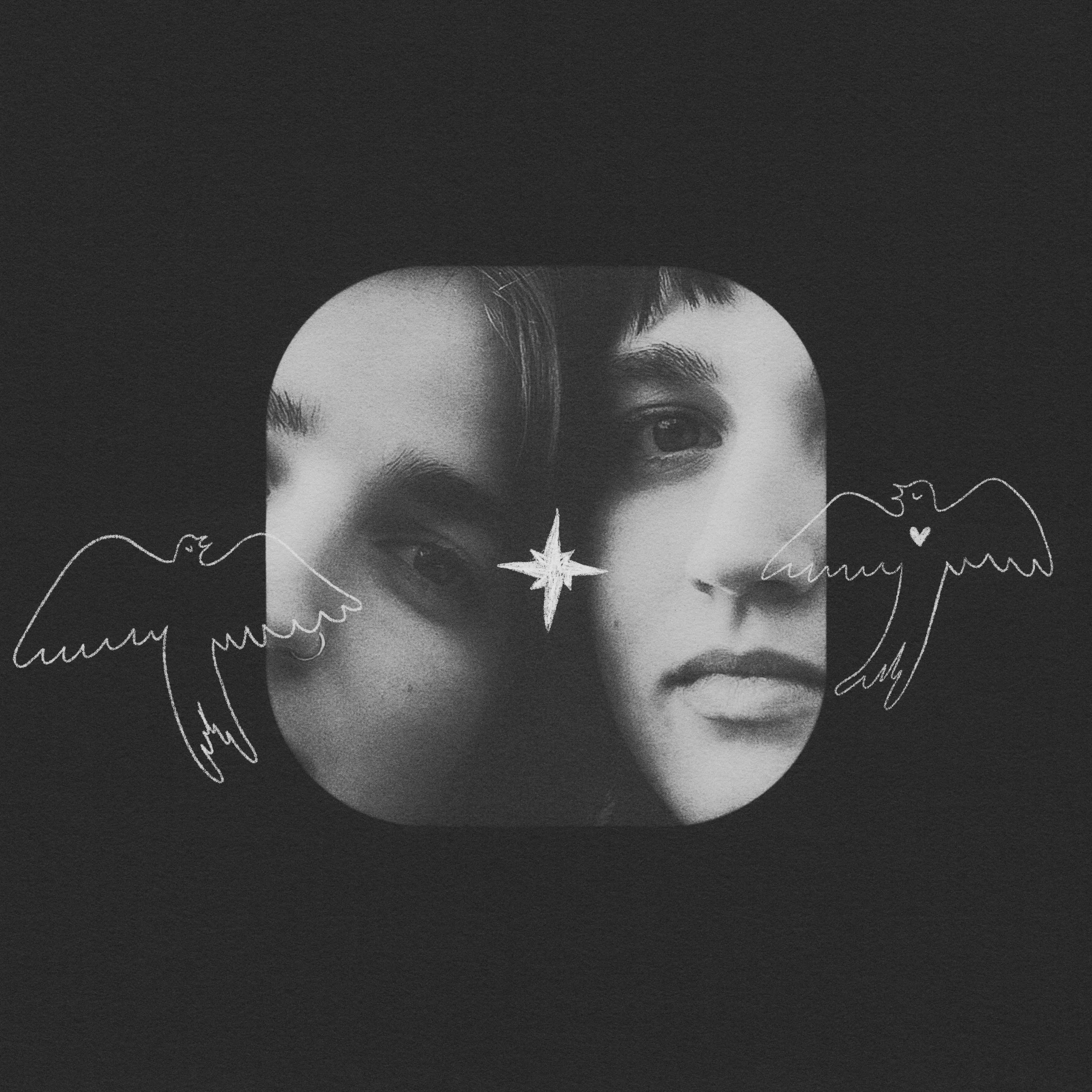 acoustic coverJPG.JPG