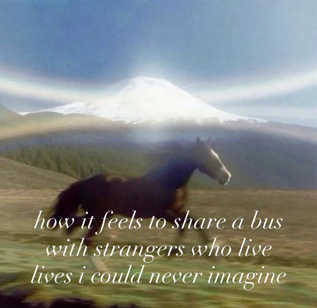 The Triumphs and Defeats of Public Transport: My 4 Highs &amp; 4 Lows