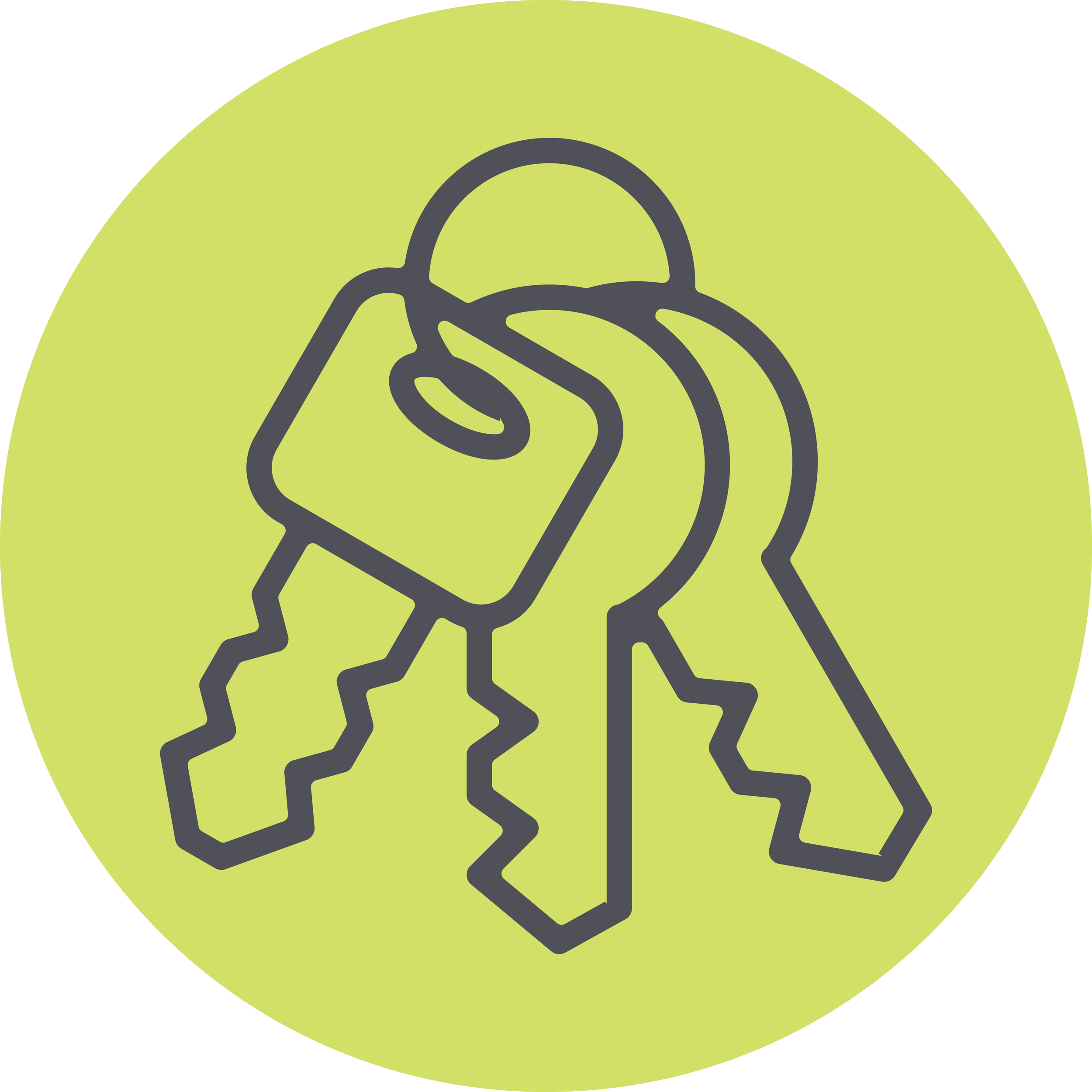 Car keys icon