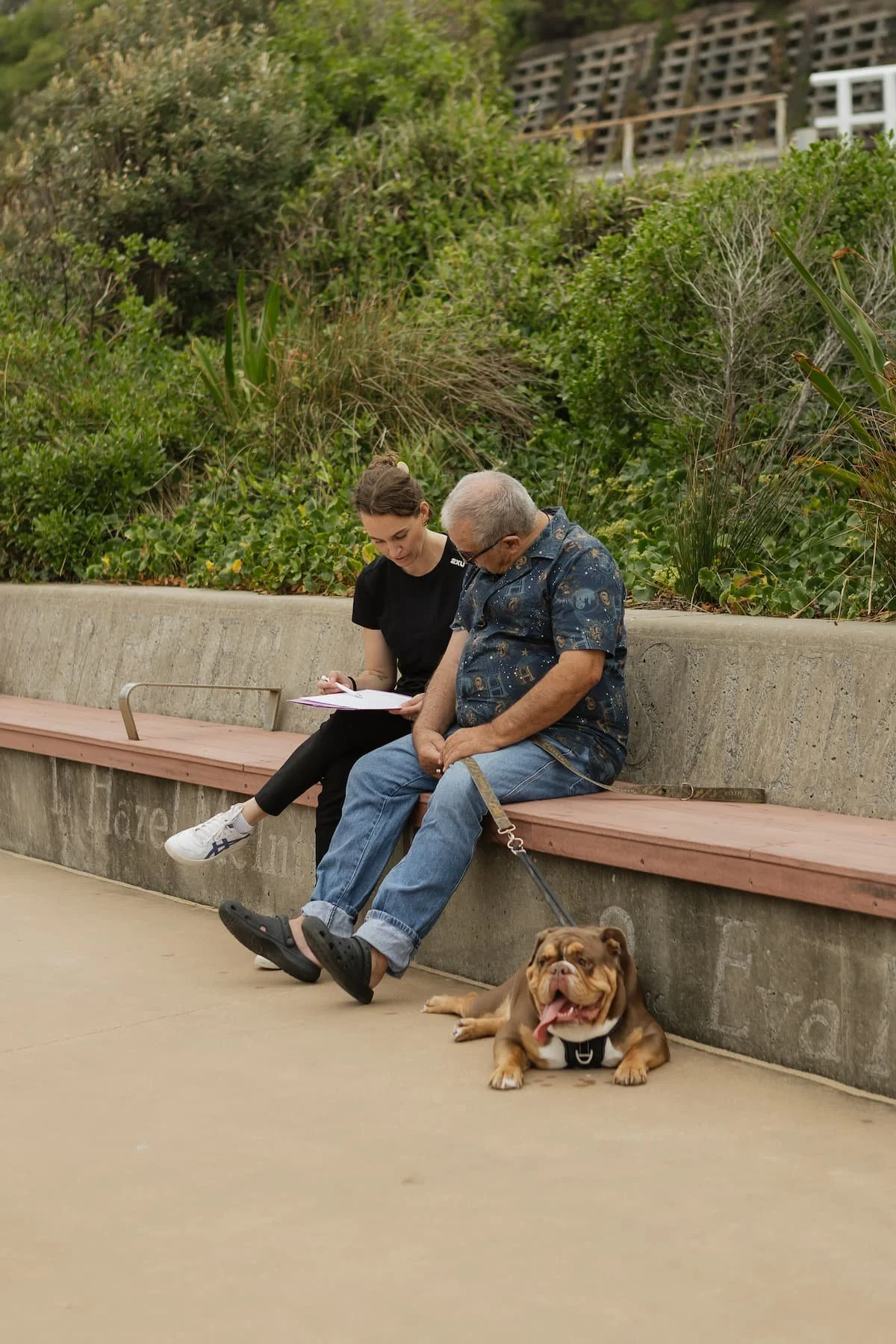 A woman and an elderly man sitting on a bench outdoors, looking at papers. A bulldog lying on the ground nearby with its tongue out.