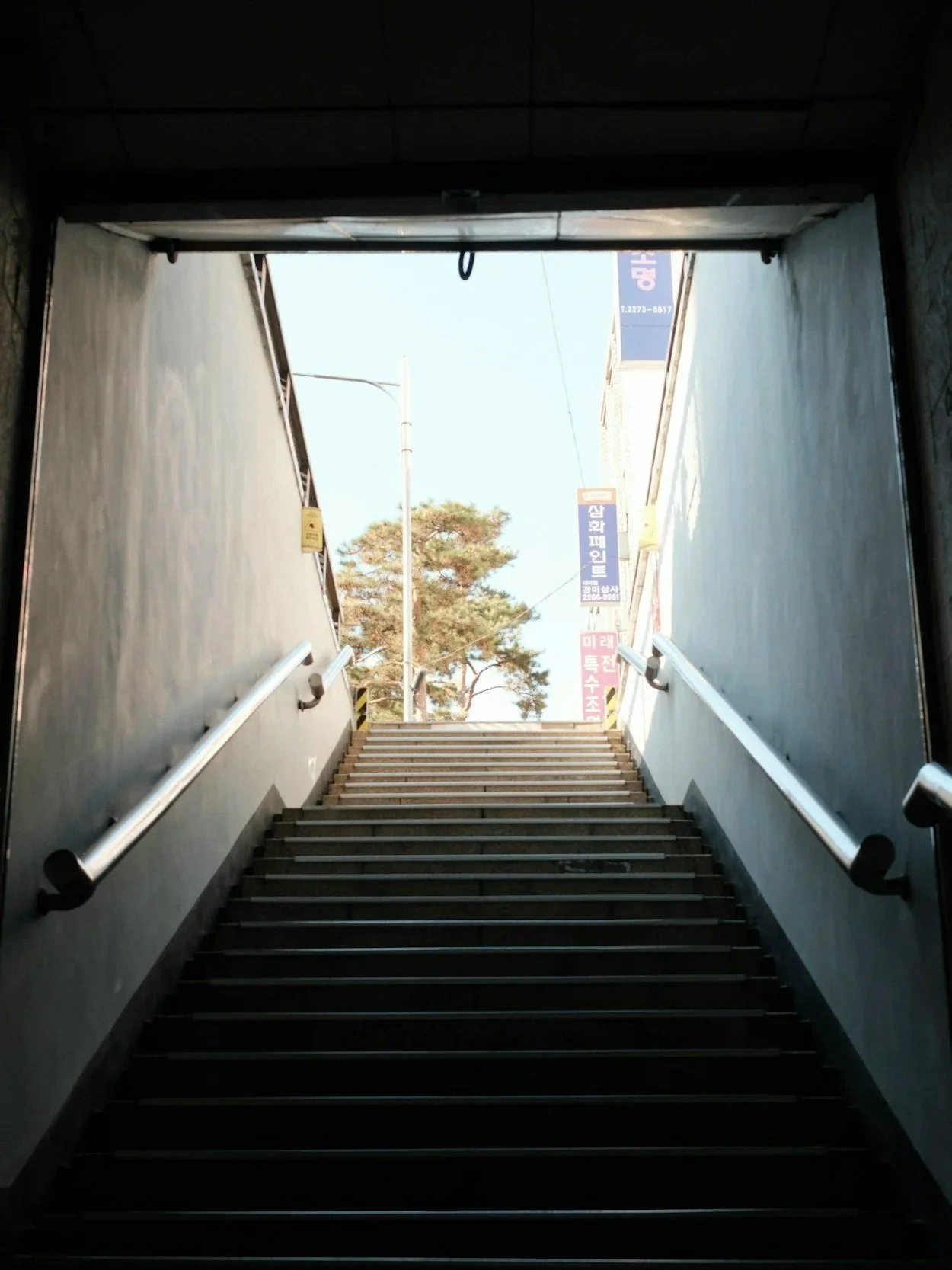 Staircase leading up outdoors with handrails on each side, visible signs and trees in the background.