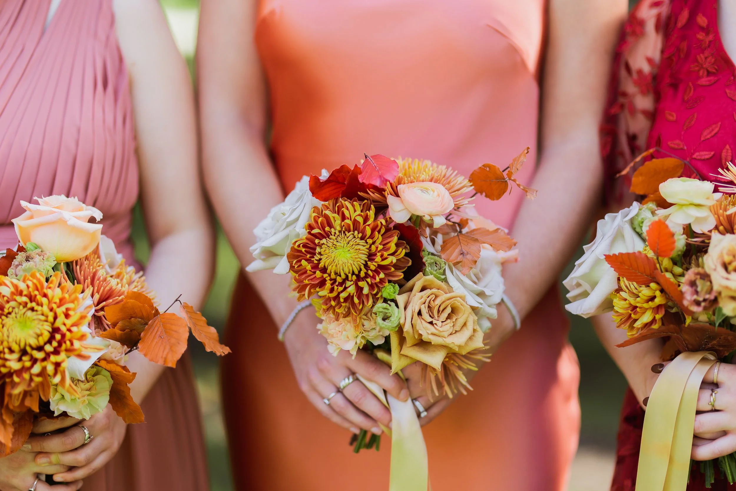 meredithdonnellyphotography-325.jpg