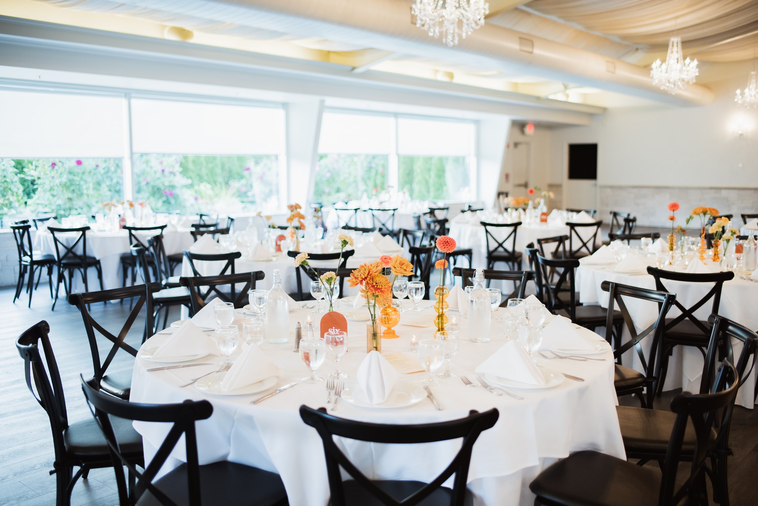 meredithdonnellyphotography-513.jpg