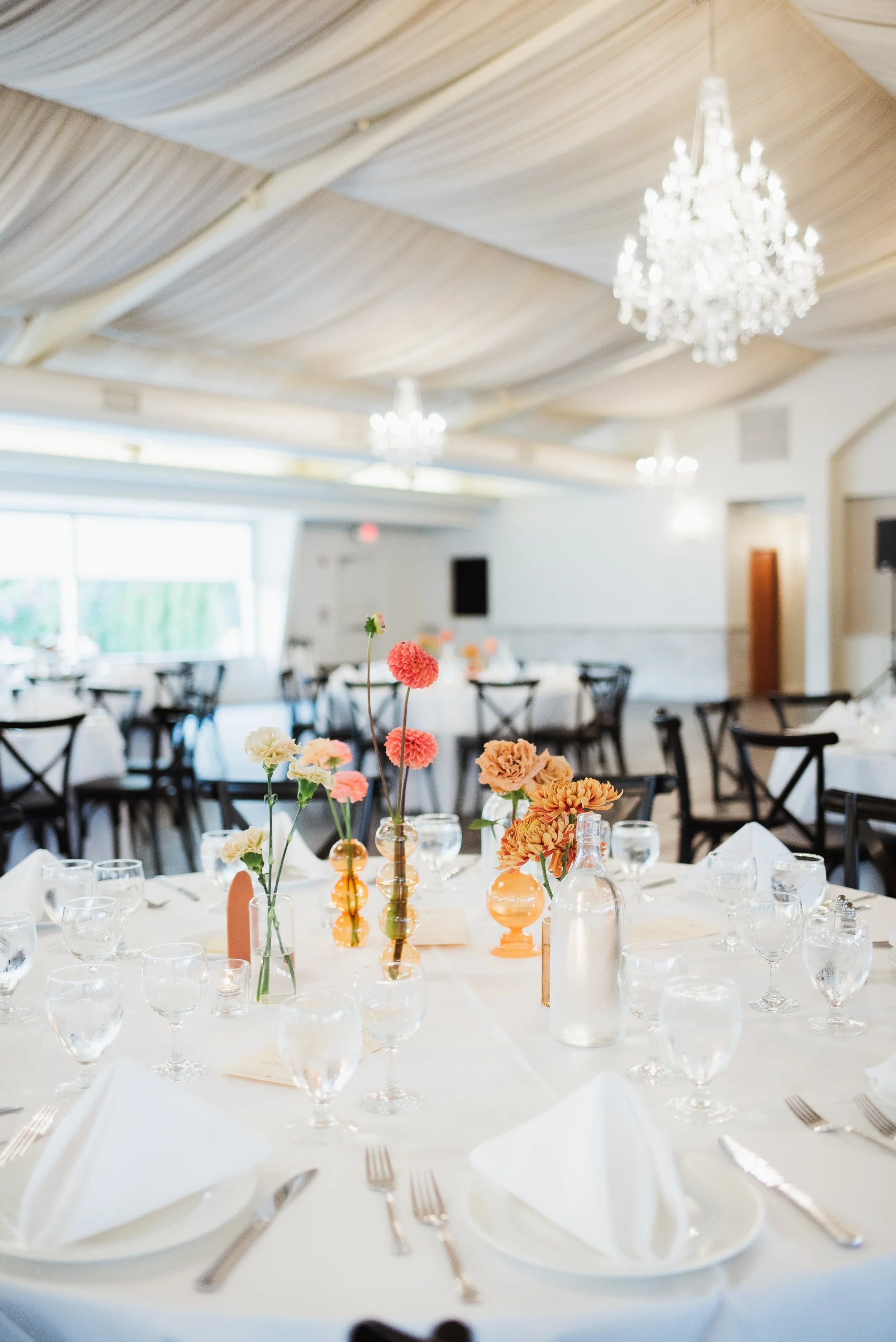 meredithdonnellyphotography-524.jpg