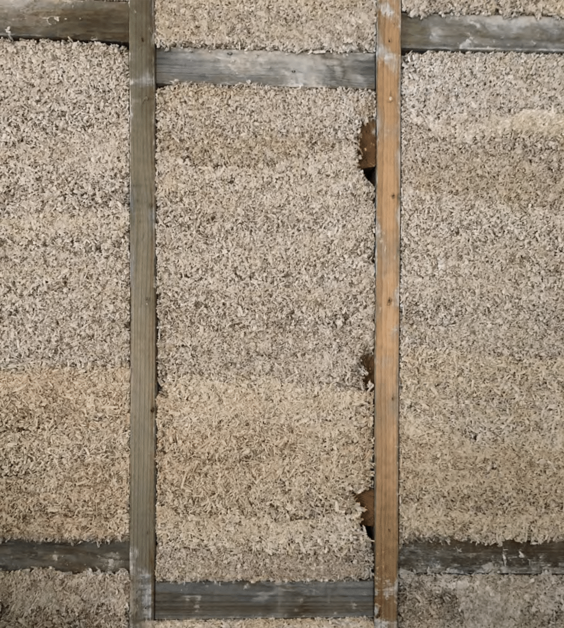 Screen Shot 2024-08-06 at 1.41.51 pm.png