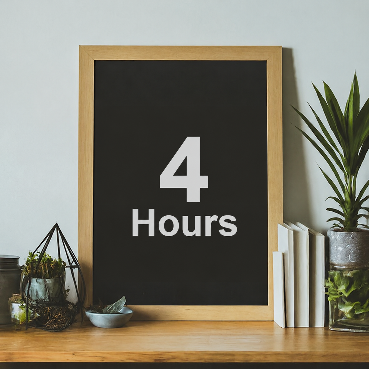 Career Coaching Standard