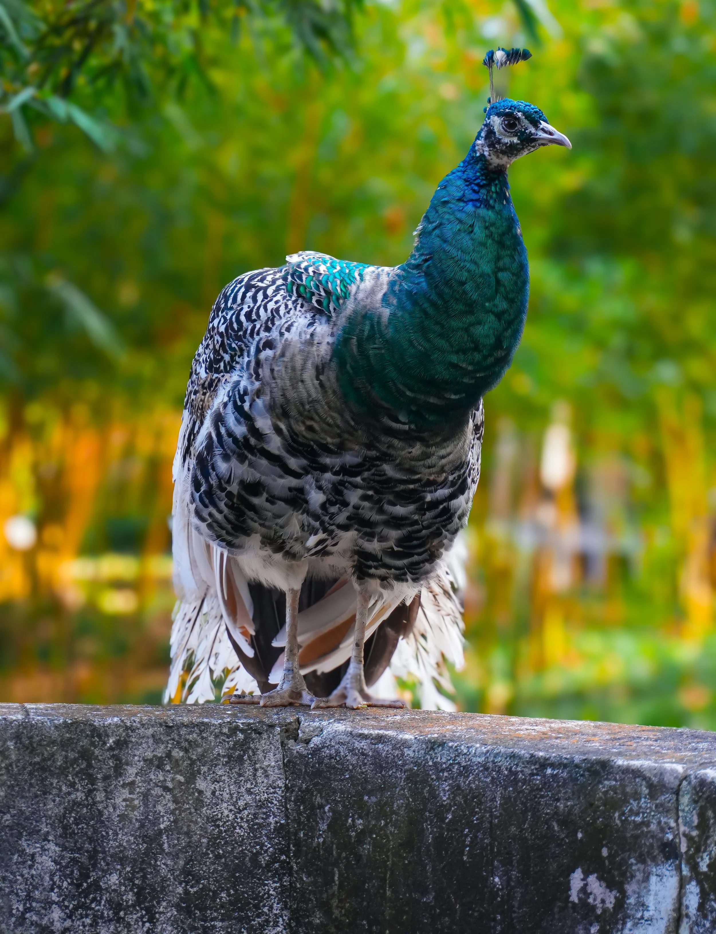 A6700527-2 (1).jpg