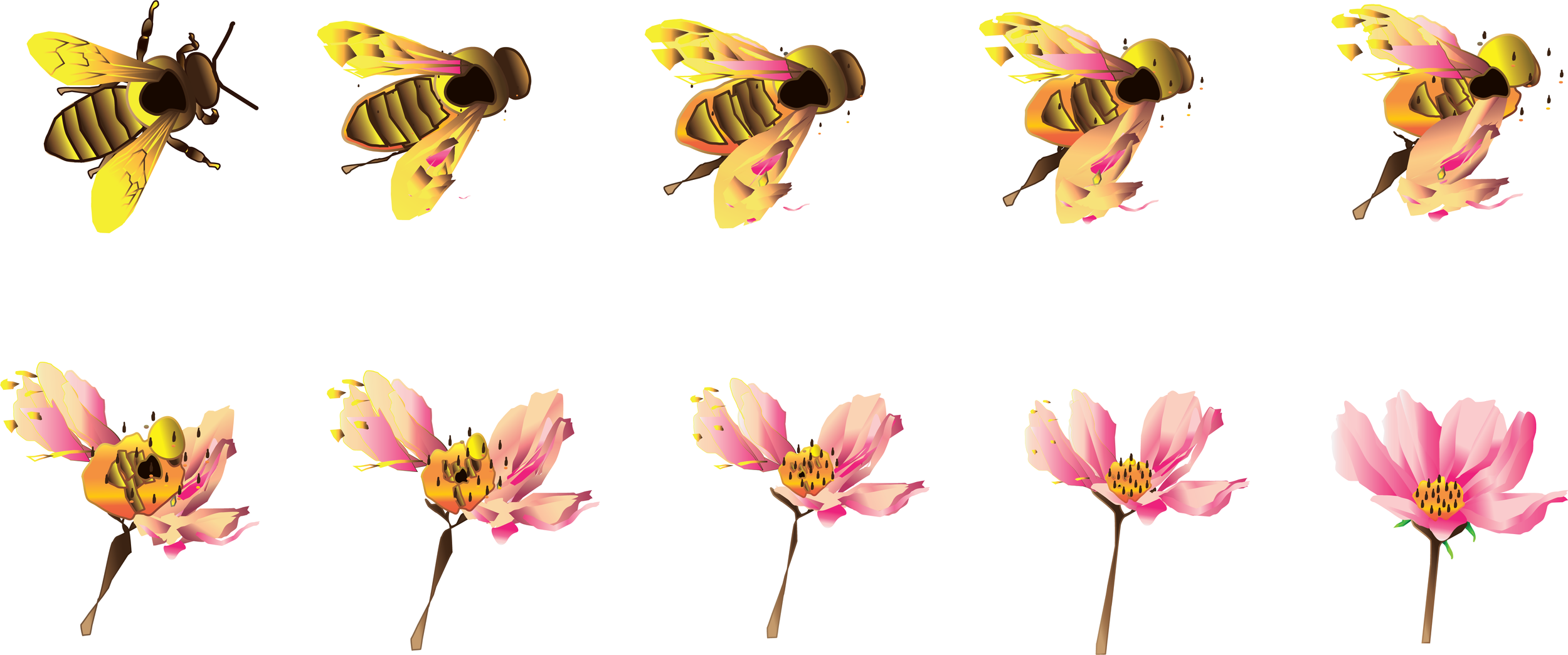 Blend and Transformation.png