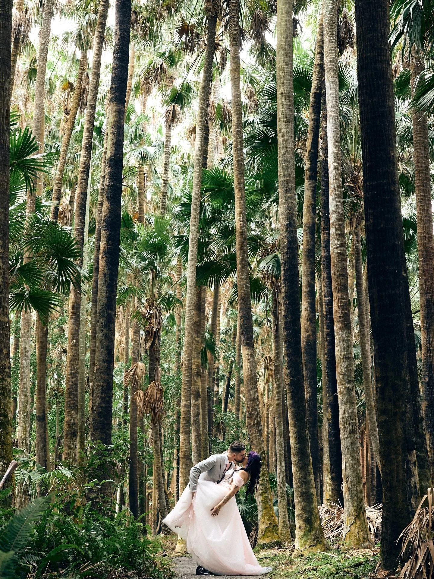 Simi &amp; Kevin&rsquo;s stuuuuuunning Green Cathedral wedding 😍

Before dream team:
Celebrant - Wendy Ballard
Ceremony Venue - @green_cathedral_bookings 
Reception venue - @club_forster 
Hair - @hairbykendallolivia 
Make up - @solacebyshenae 
Brida